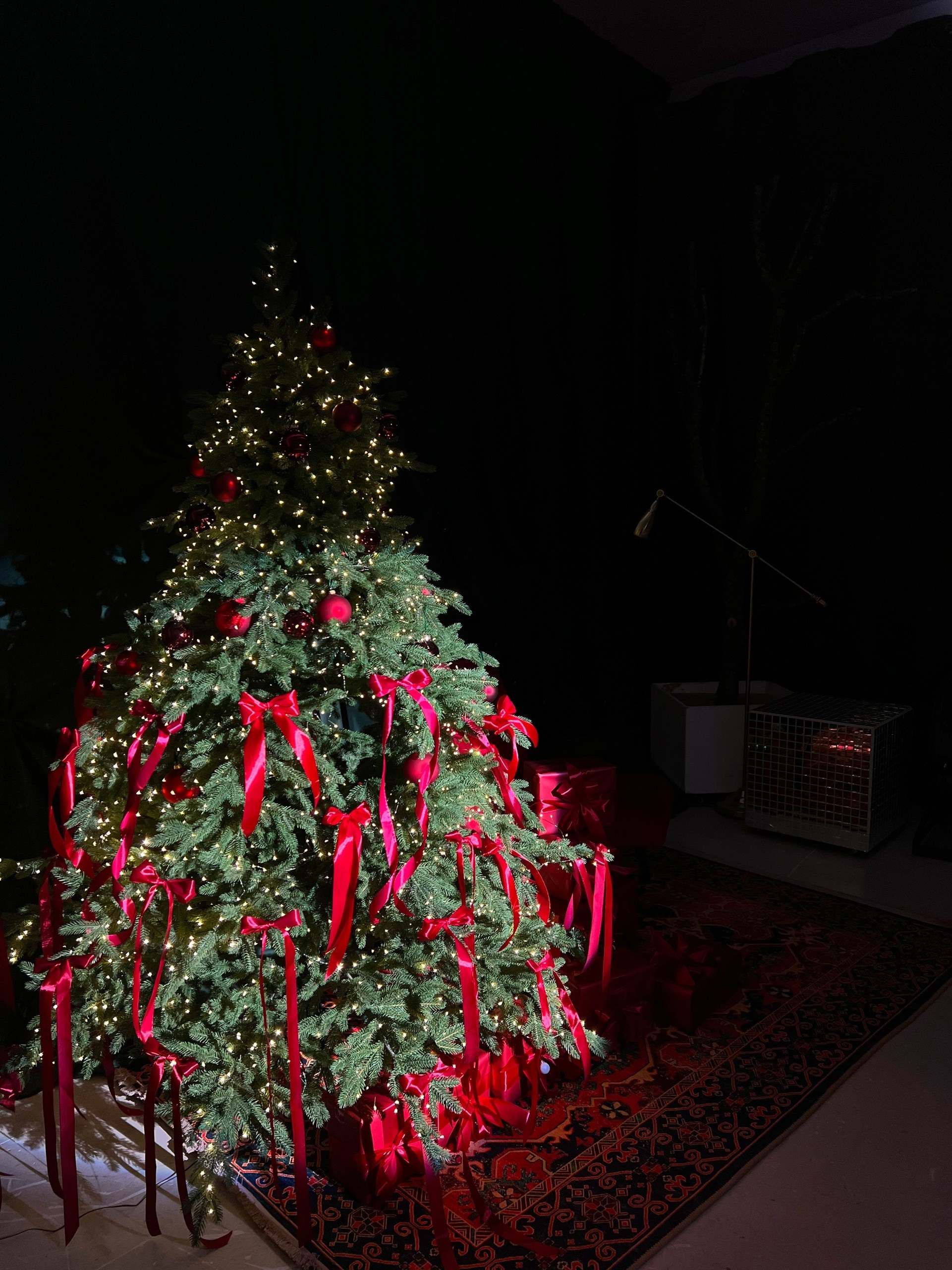 Whita Crow, зал Циклорама (Станке-Димитрова, 54а, БЦ Десна). Портретный, семейный, свадебный фотограф в Брянске Маргарита Василькова