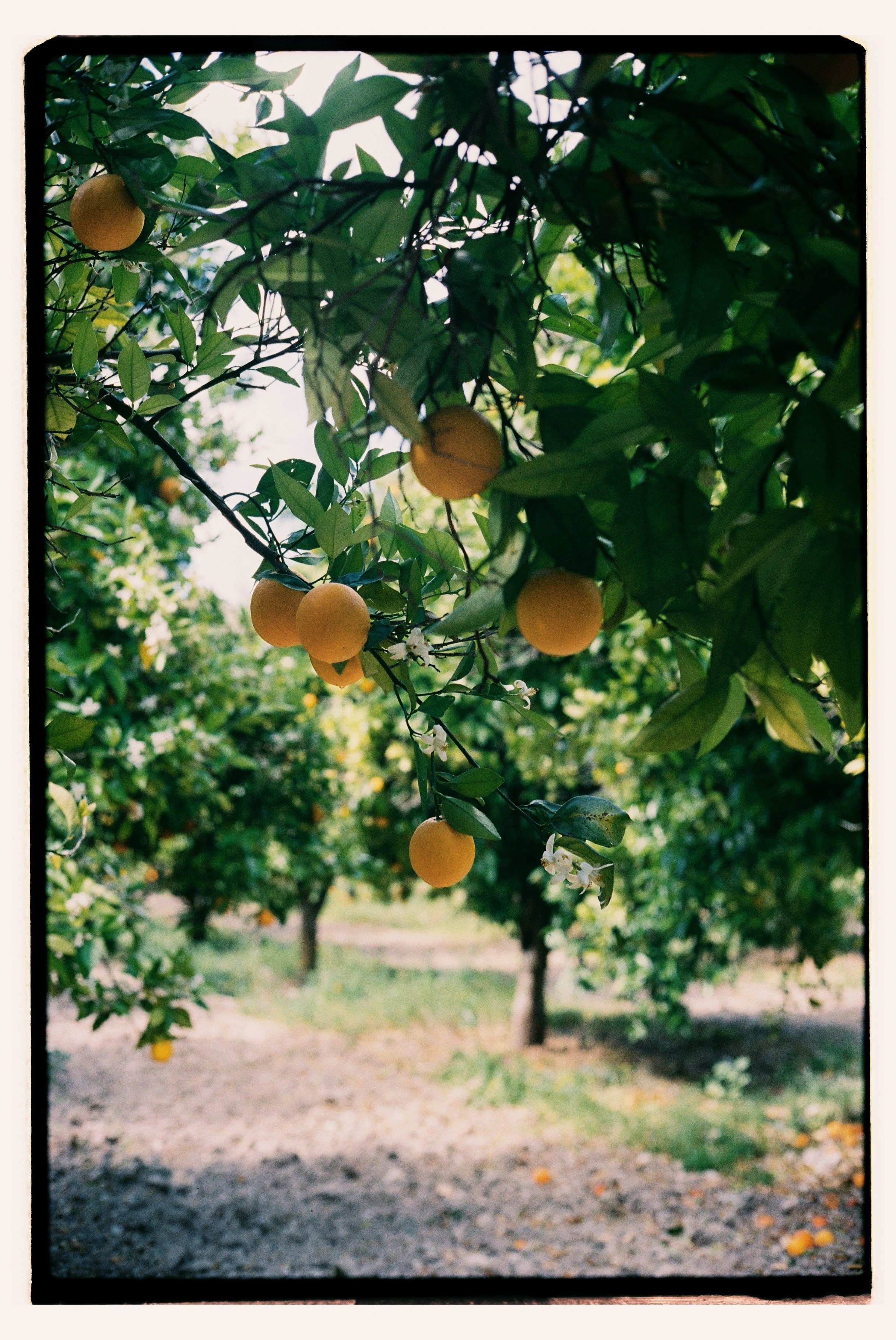 Mediterraneo. Фотограф Анастасия Губернаторова