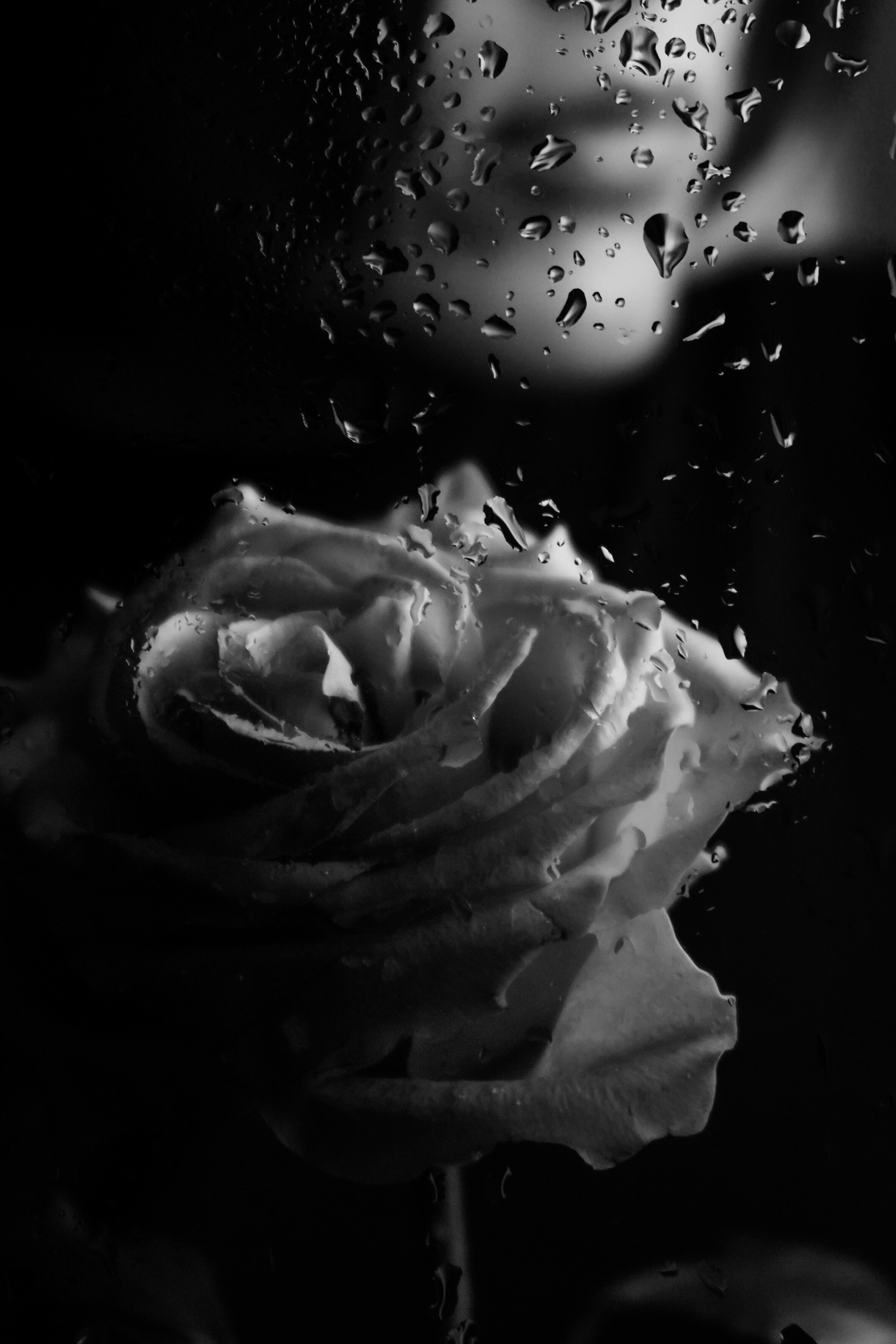 Женский портрет ЧБ. Фотограф в Сочи Марина Барс