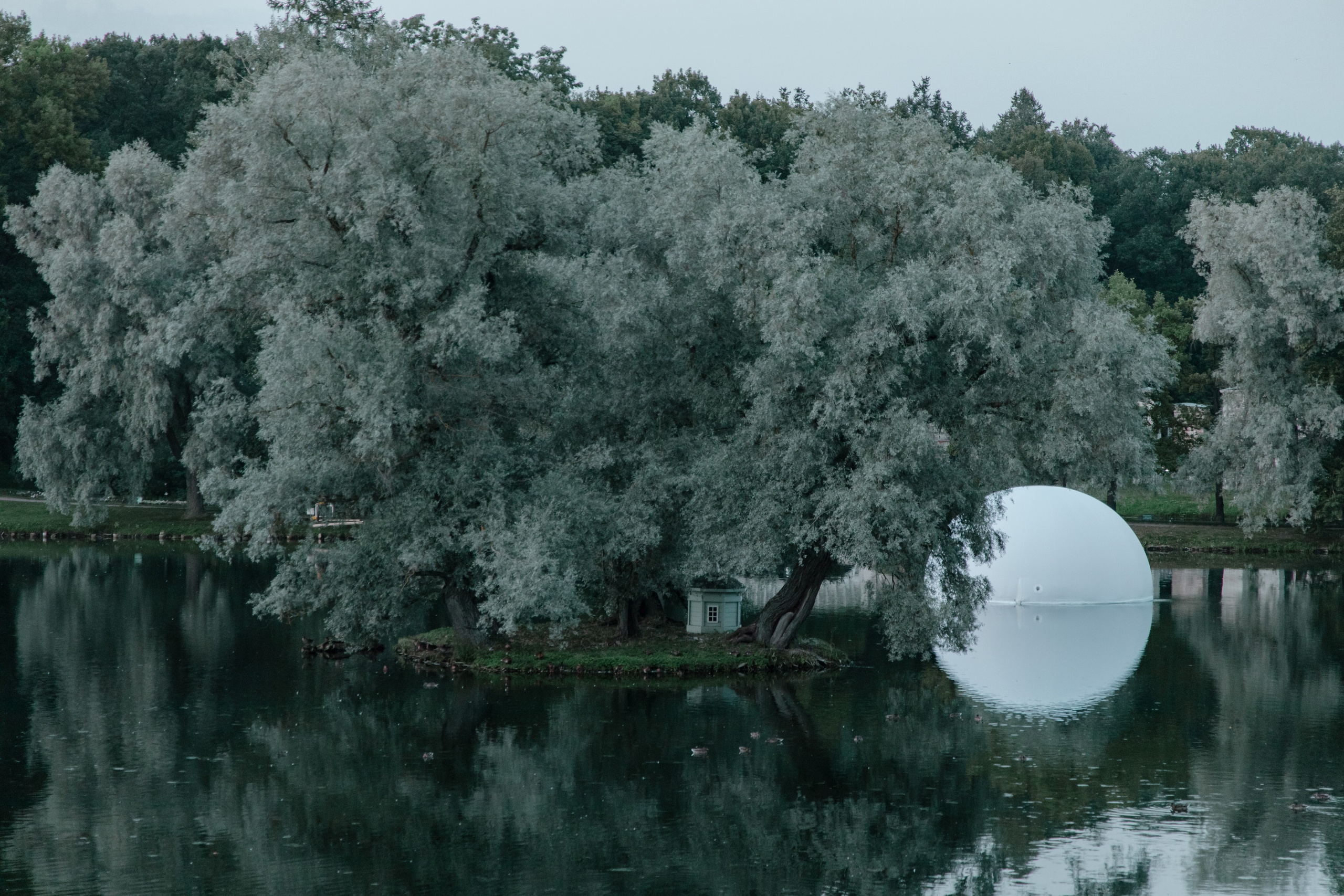 Фестиваль «Ночь света» в Гатчине. Polinanazar//Полина Назарова, фотохудожник