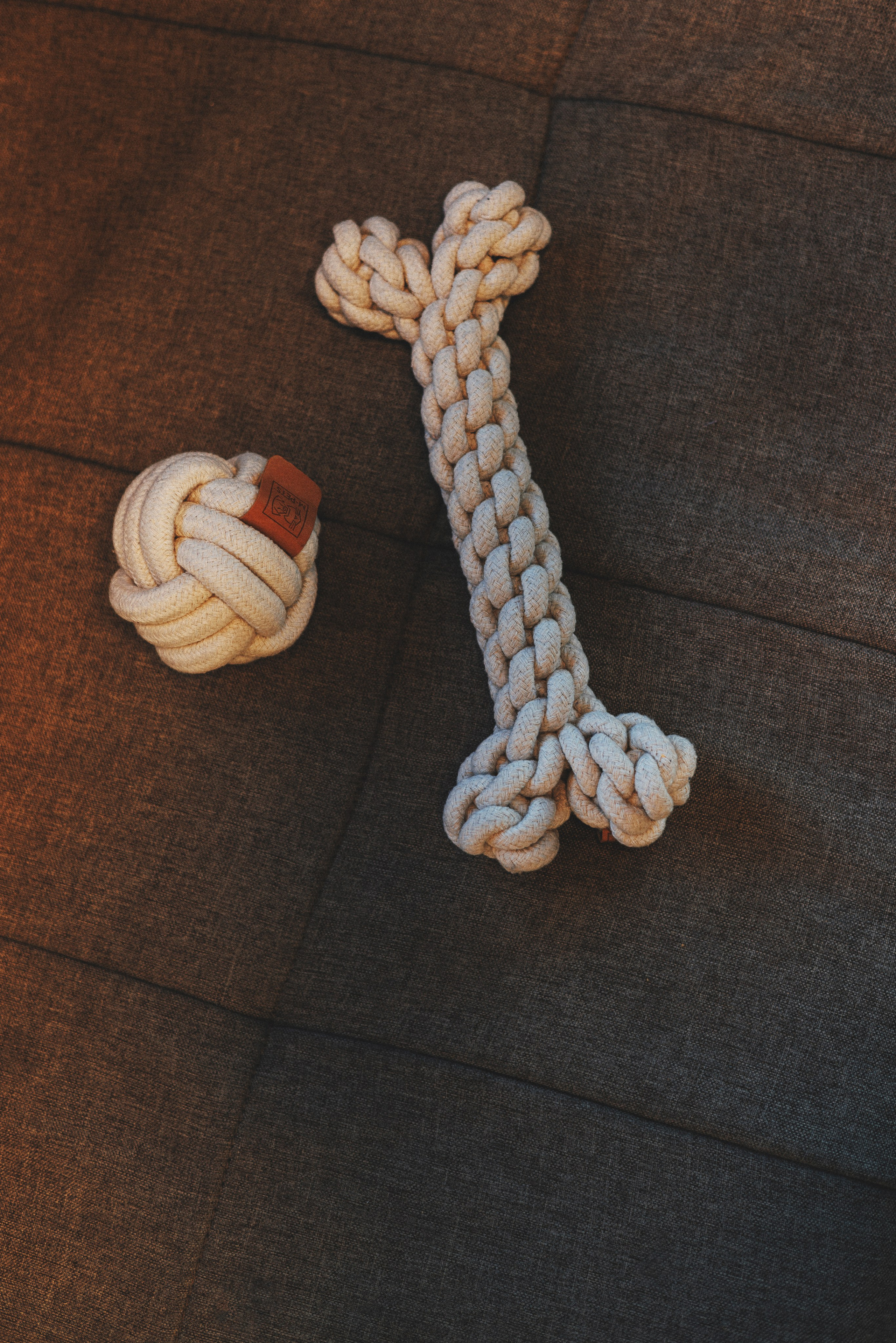 M-Pets. Фотограф анималист Осипчикова Мария