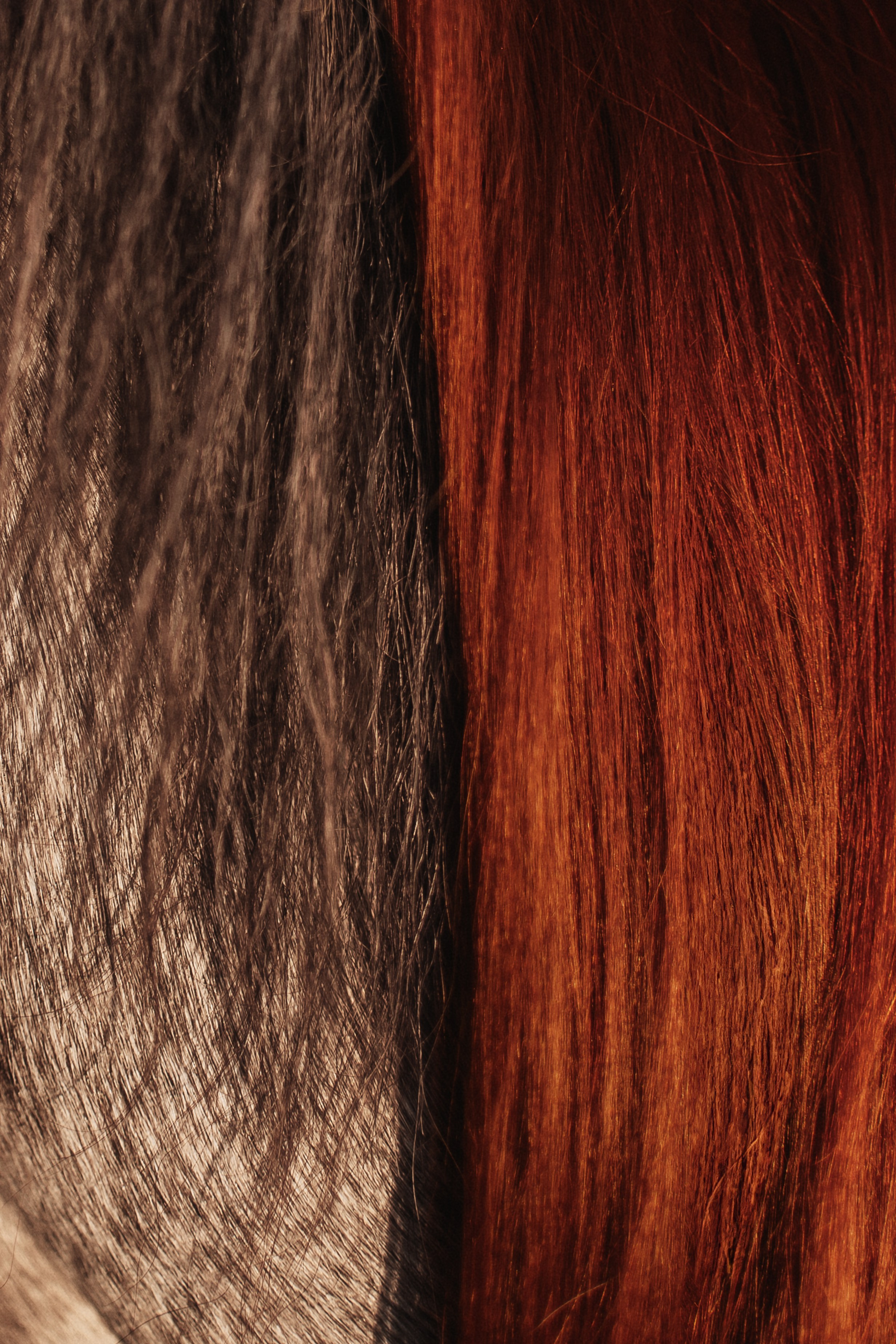 Вероника и Дакар — 23.09.2024. Фотограф — Анималист | Анна Абрамова