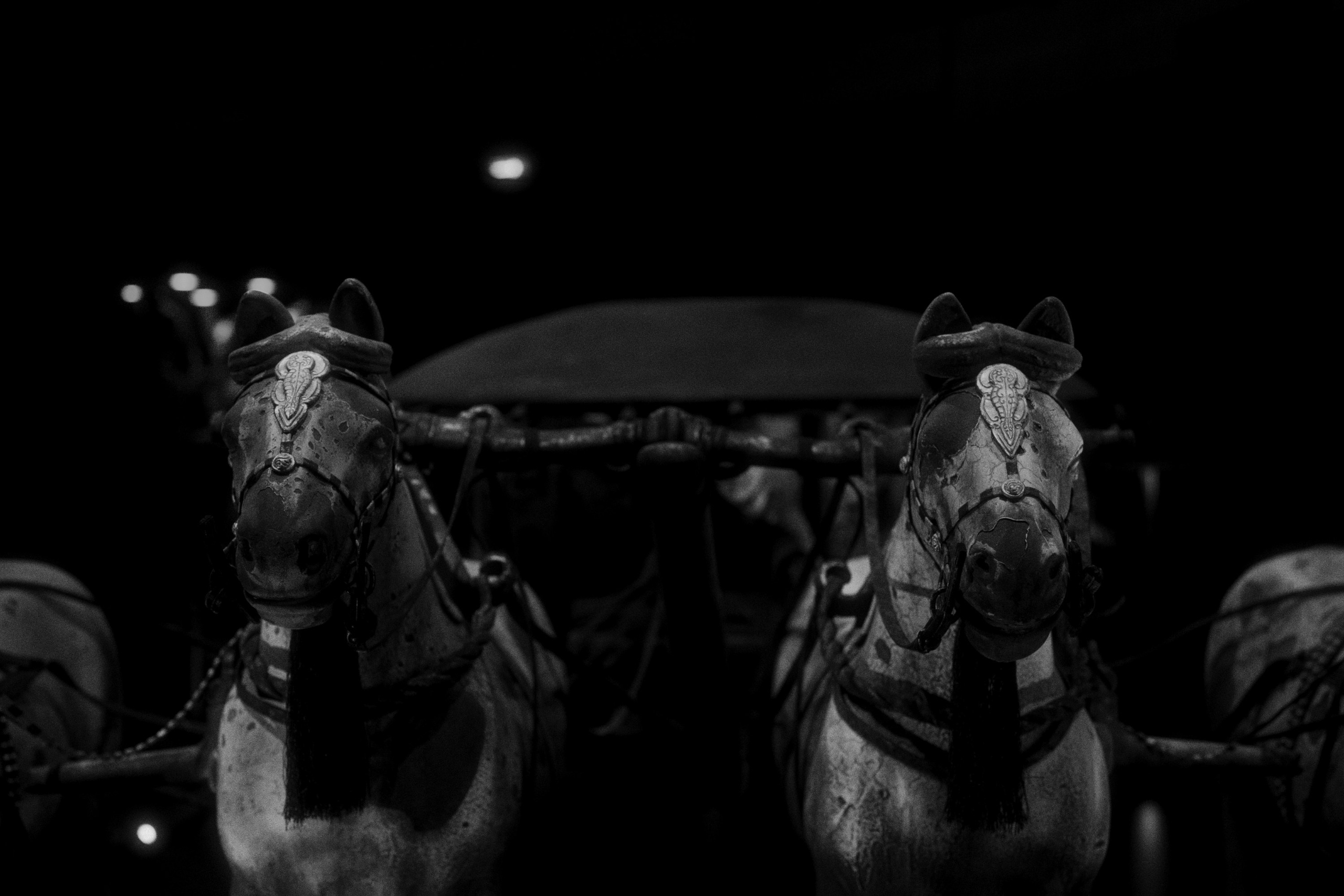 Terracotta Army. Фотограф Юрин Евгений