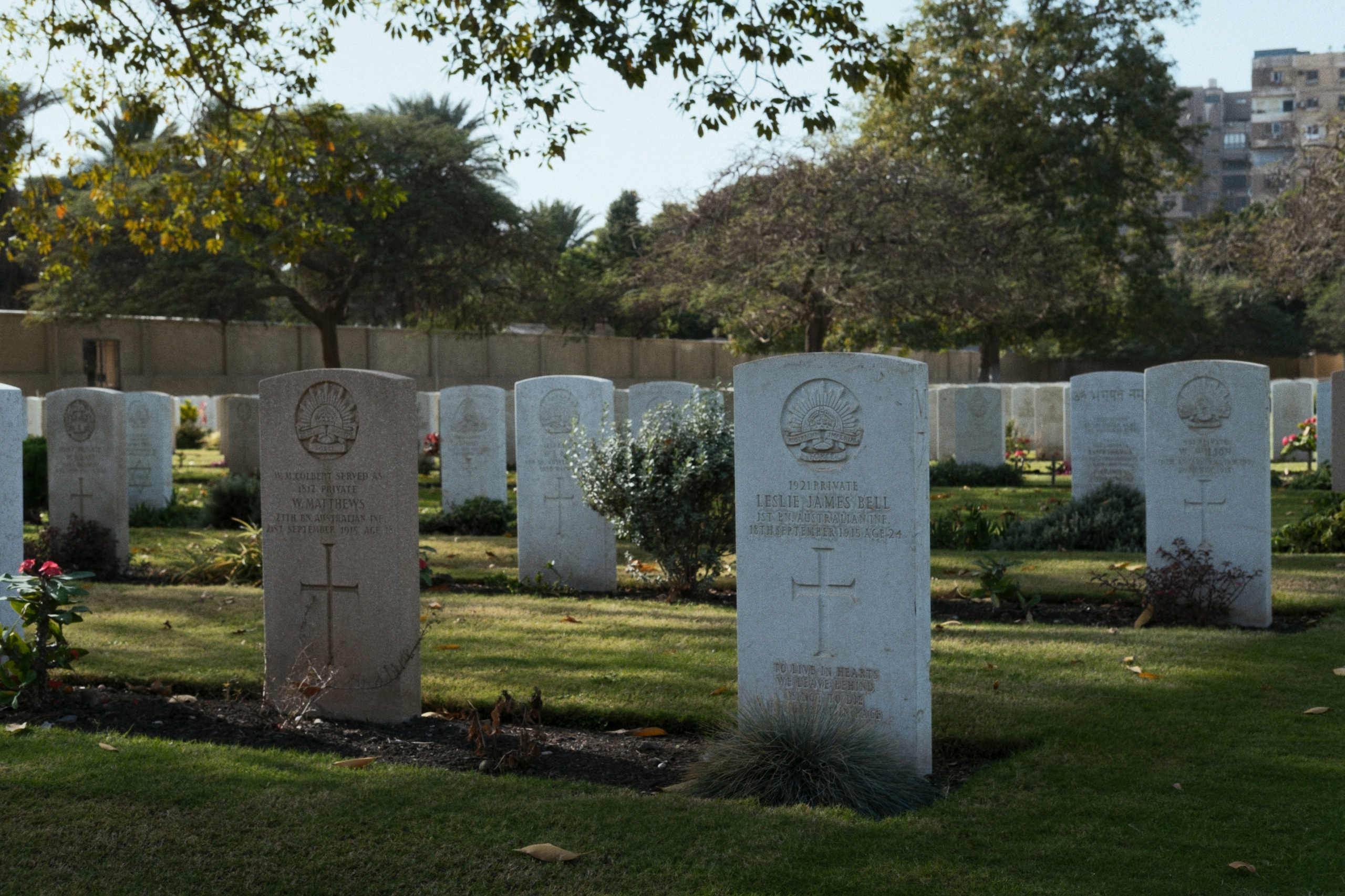 War Memorial Cemetery / Cairo, Egypt AW25. Фотограф Юрин Евгений