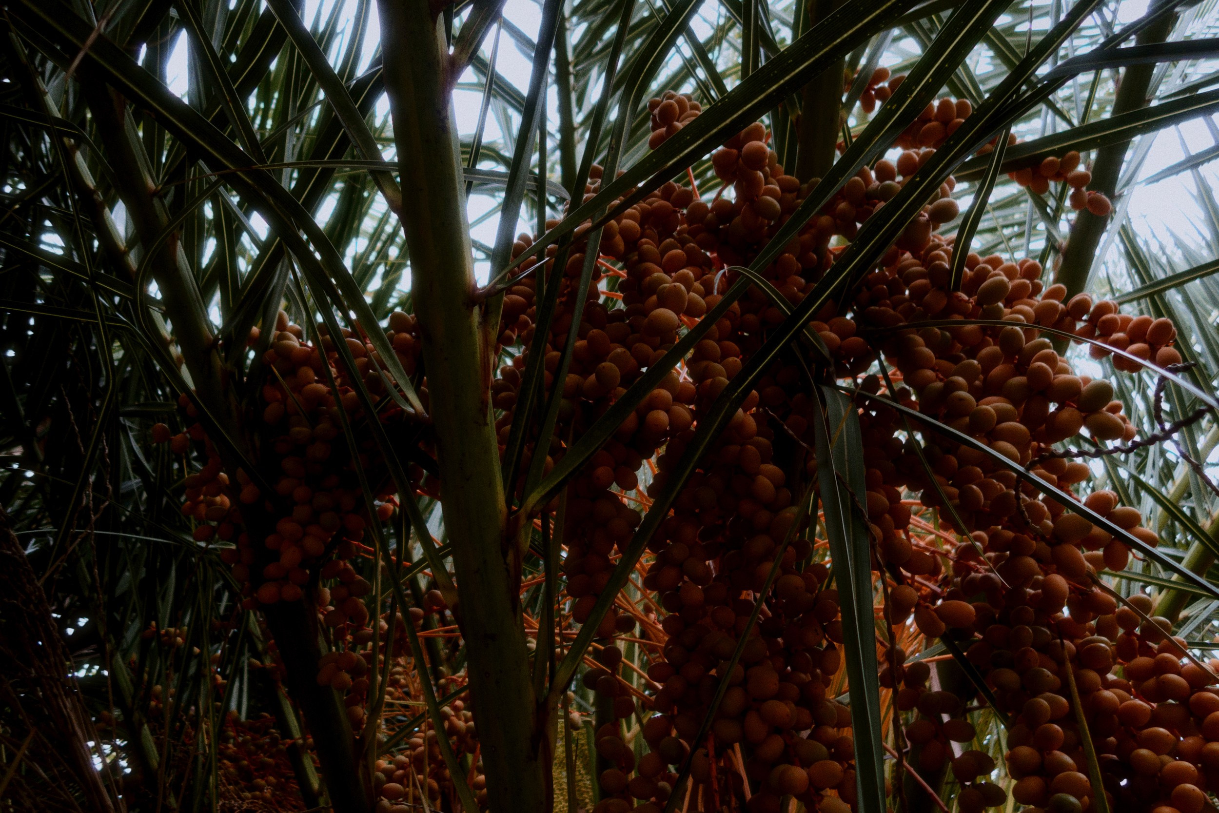 OM-System Tough-7 / Sochi Port. Фотограф Юрин Евгений