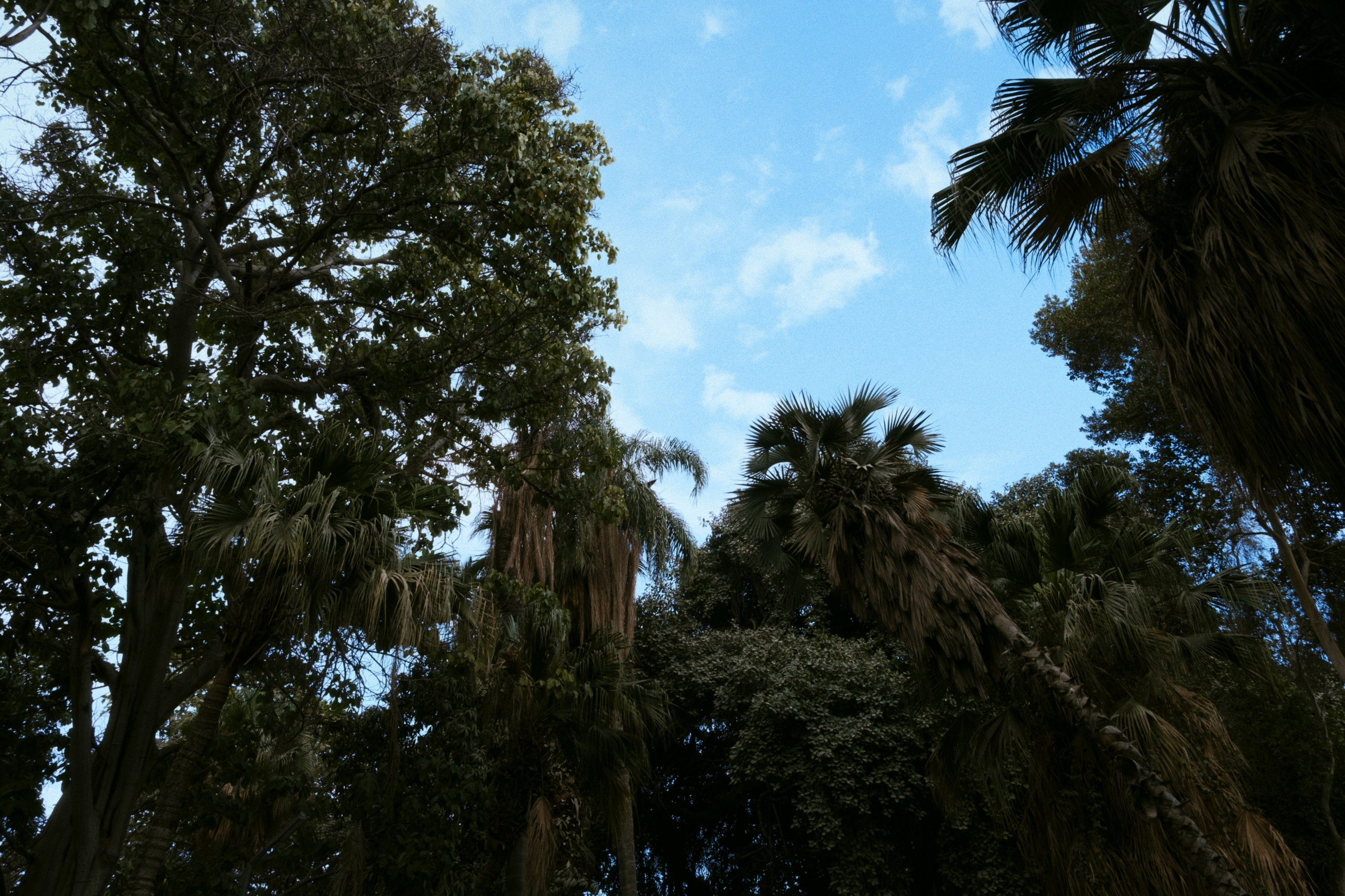 Cairo / Egypt AW25. Фотограф Юрин Евгений