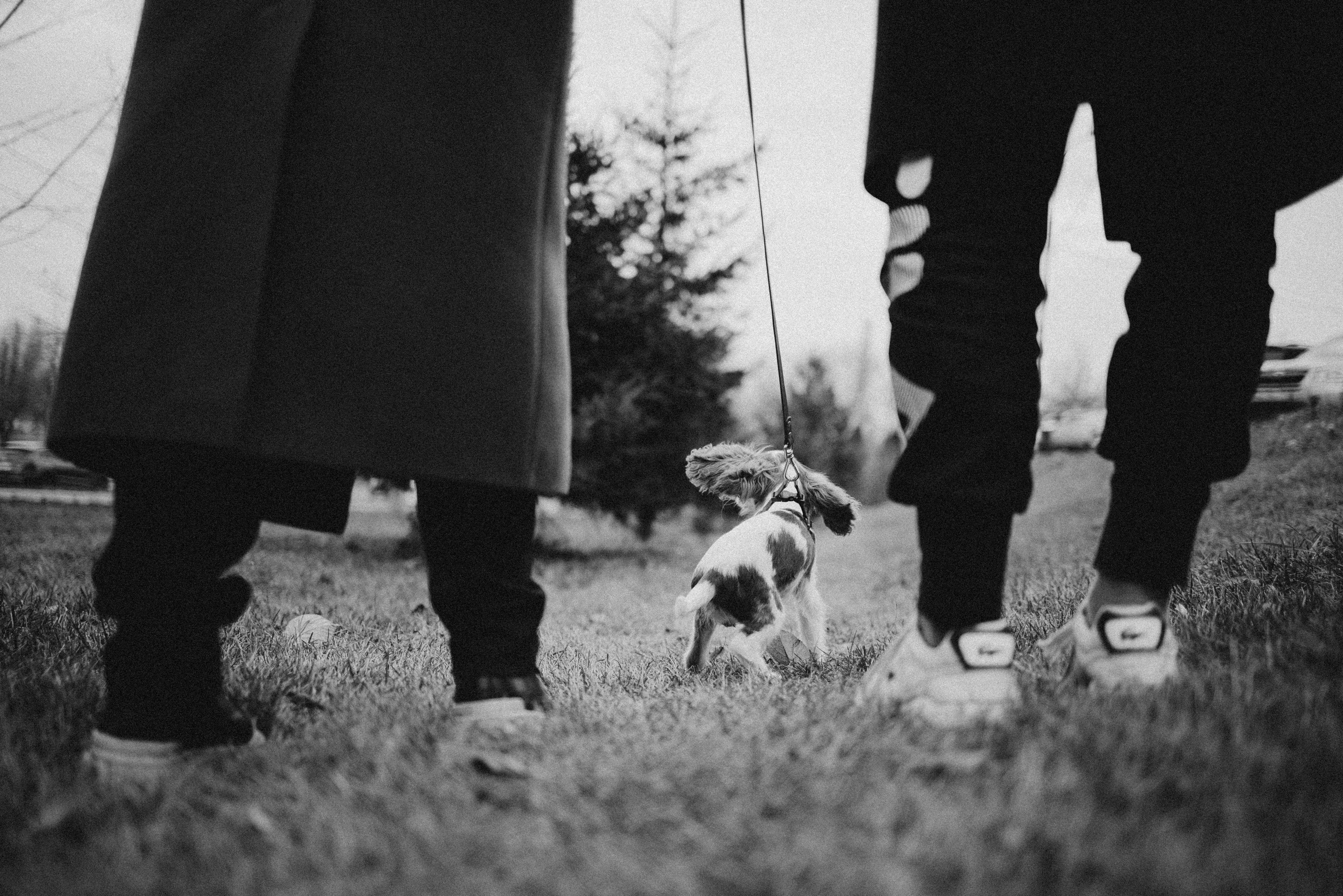 Юля и Кипр. Фотограф-анималист в Москве Лера Черноног