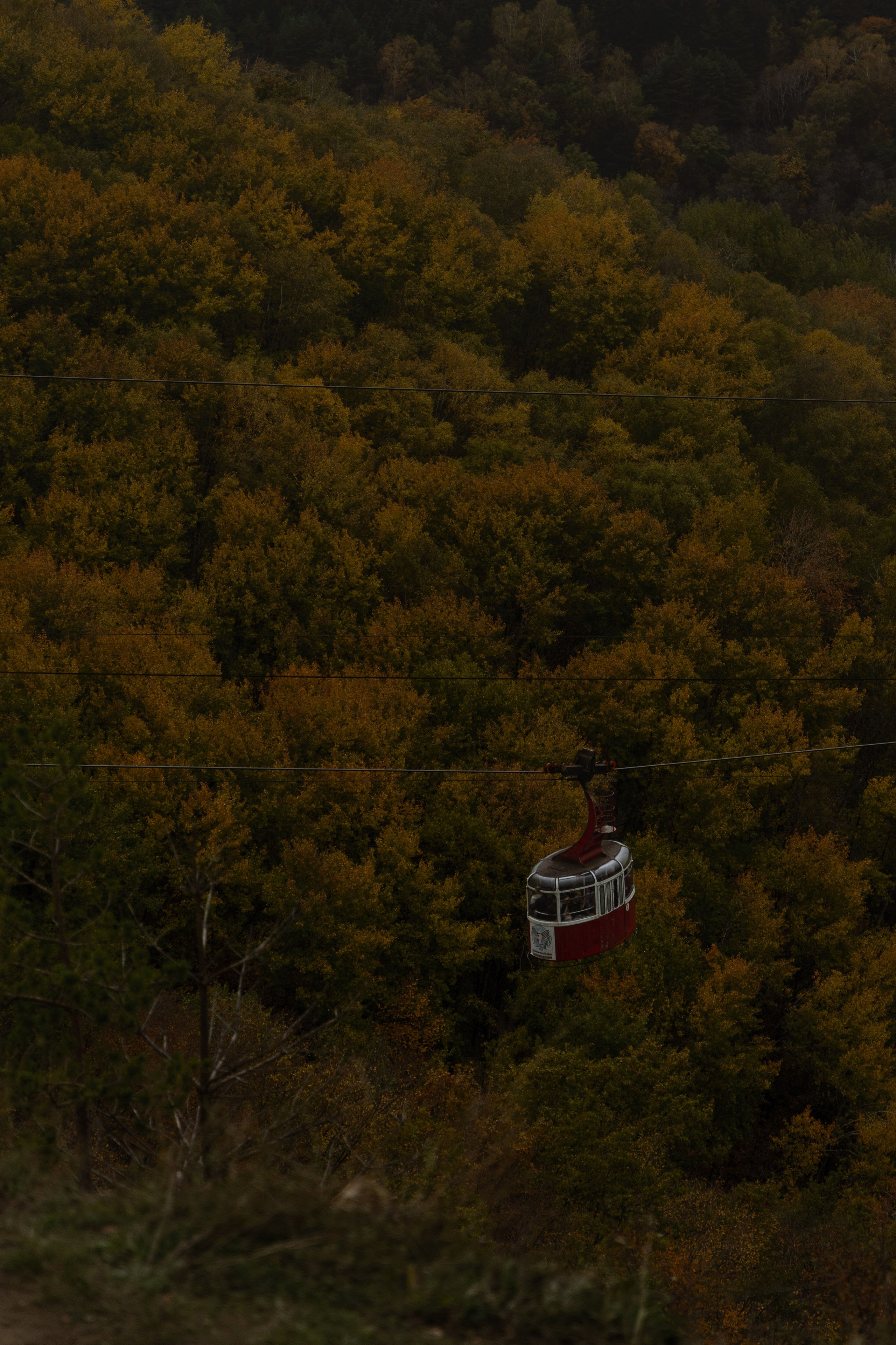 Кисловодск. Портретный и уличный фотограф в Москве Таня Корнеева
