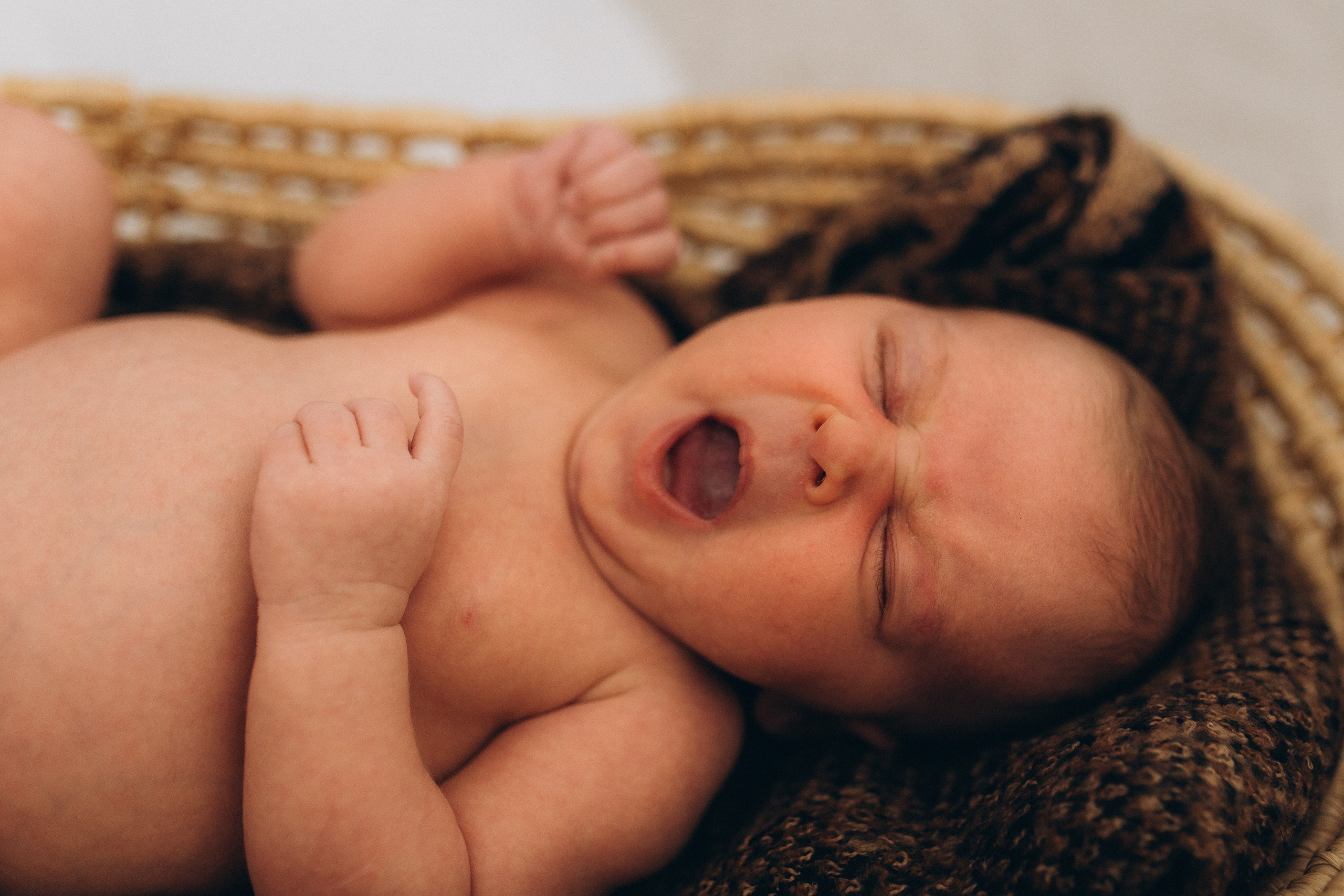 Séance newborn Sasha. Photographe des familles et enfants à Nantes et alentours