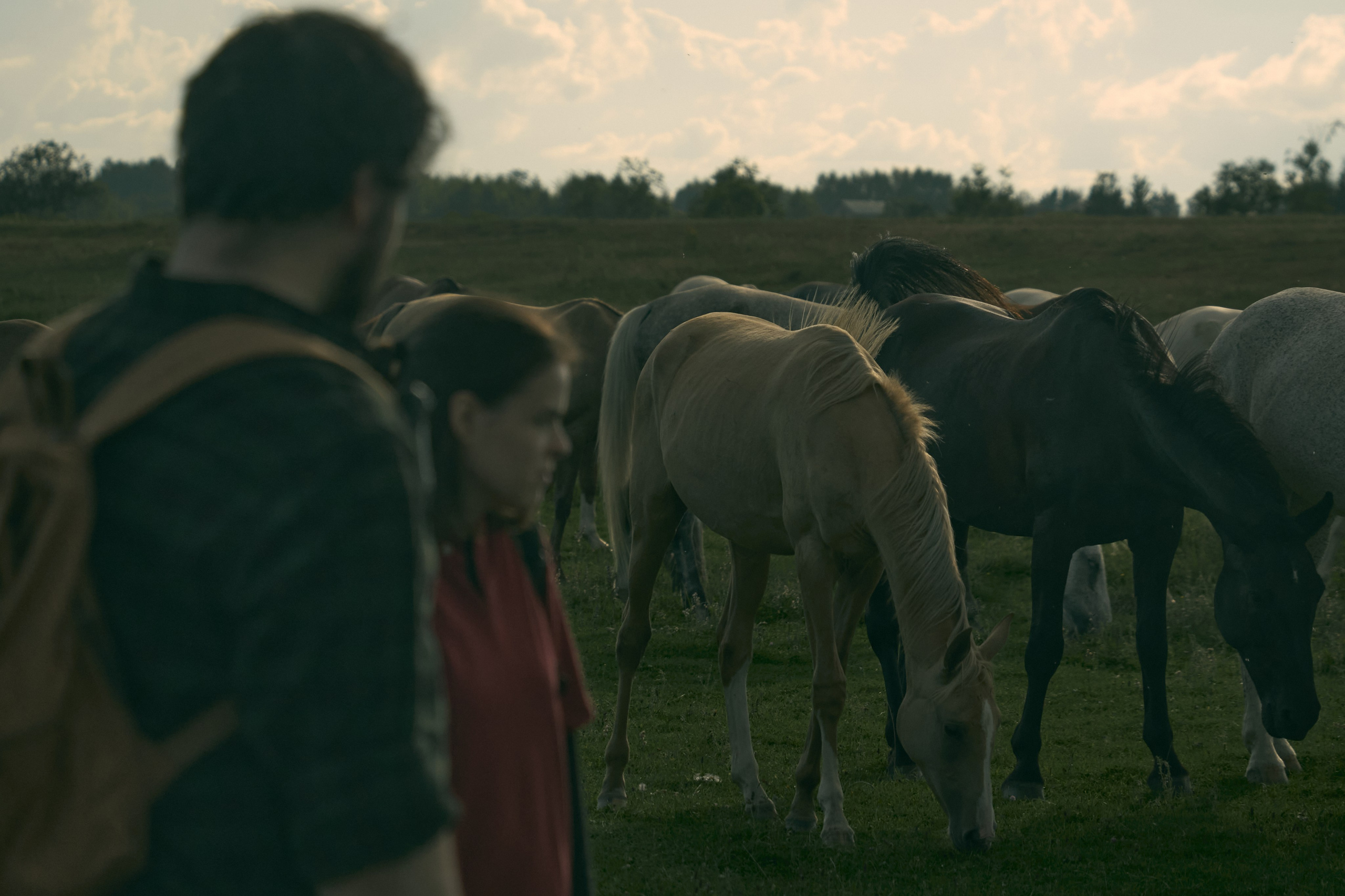 THE LAST OF US. Юля Ф