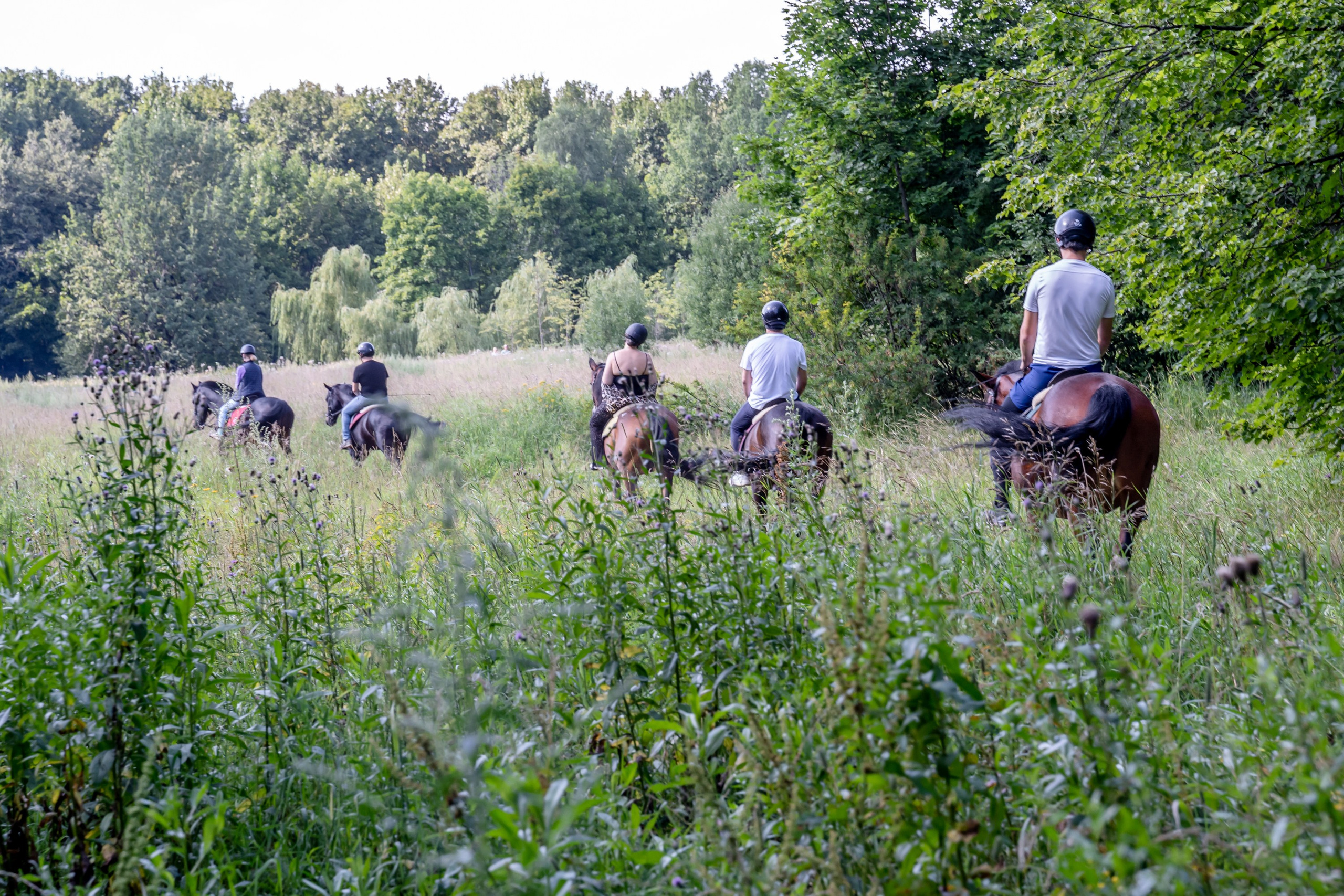 Корпоративные. Семейный и детский фотограф Ирина Ильиных-Вольная в Москве и не только