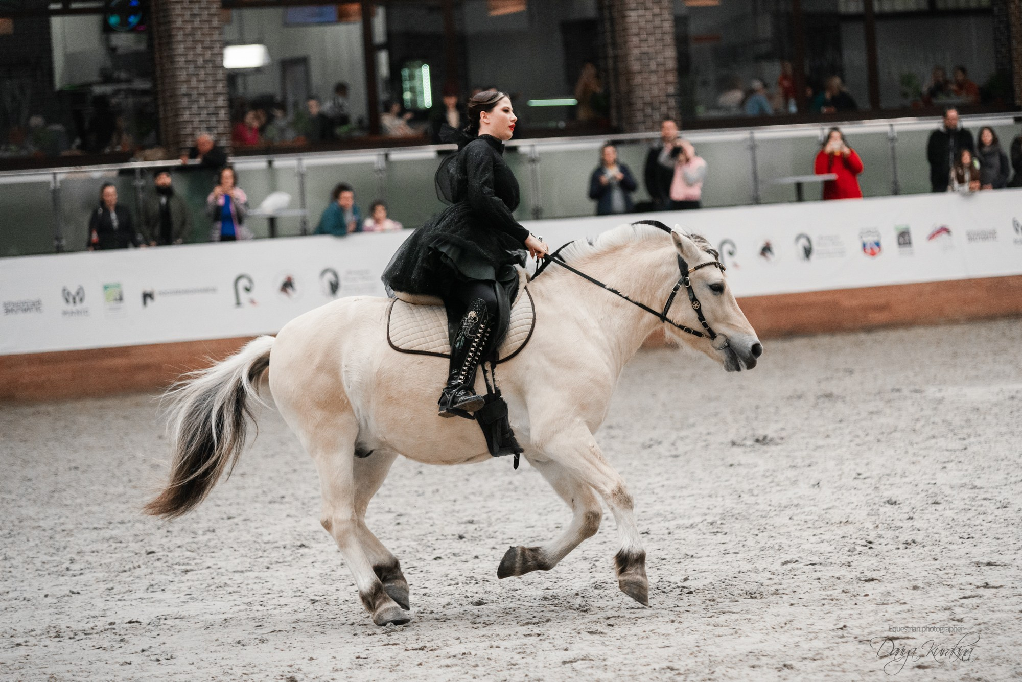 8-я международная выставка Конная Россия. Конный фотограф Куракина Дарья • Фотосессии с лошадьми