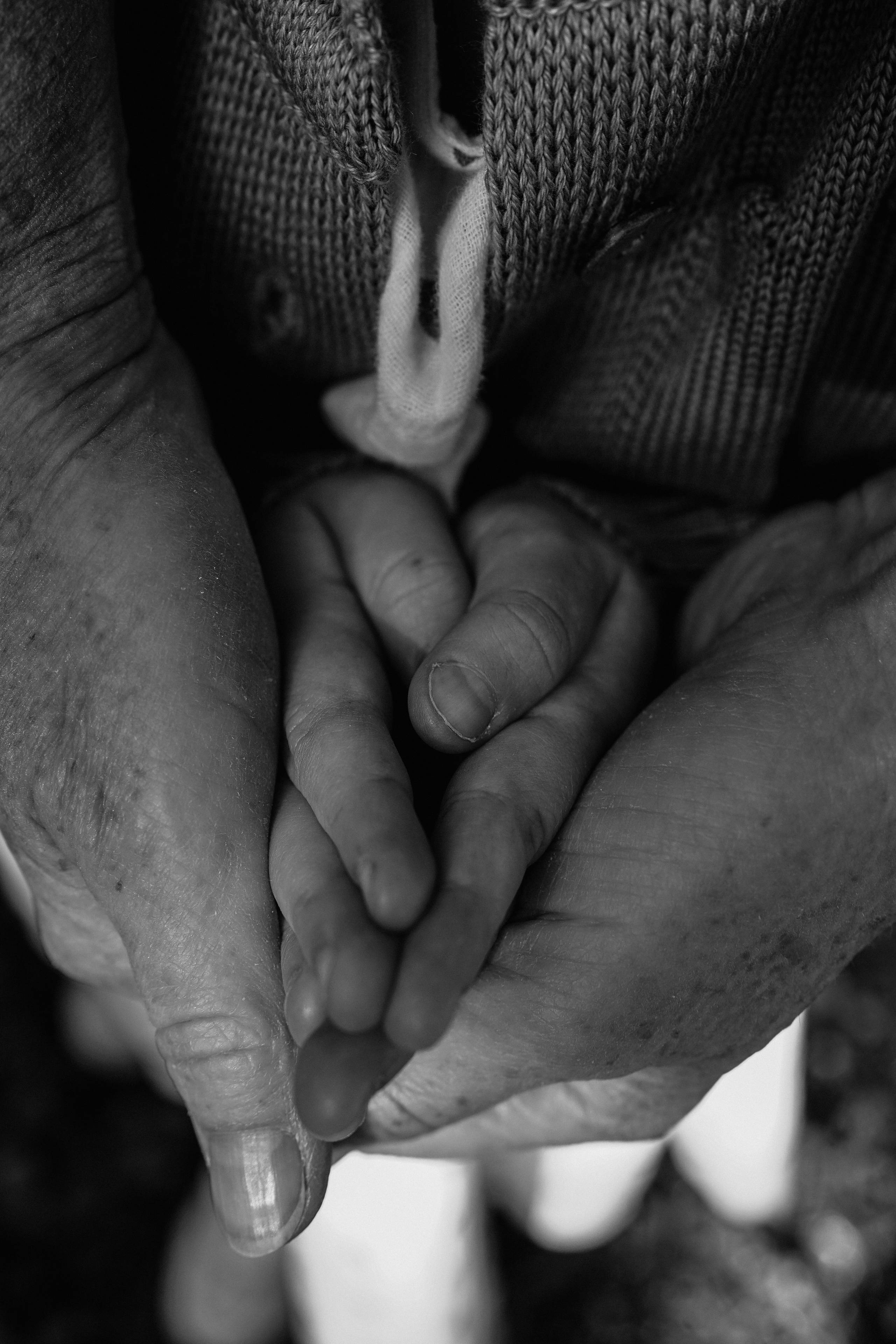 Семейная фотосессия в Парке 300-летия. Фотограф Ольга Игорева