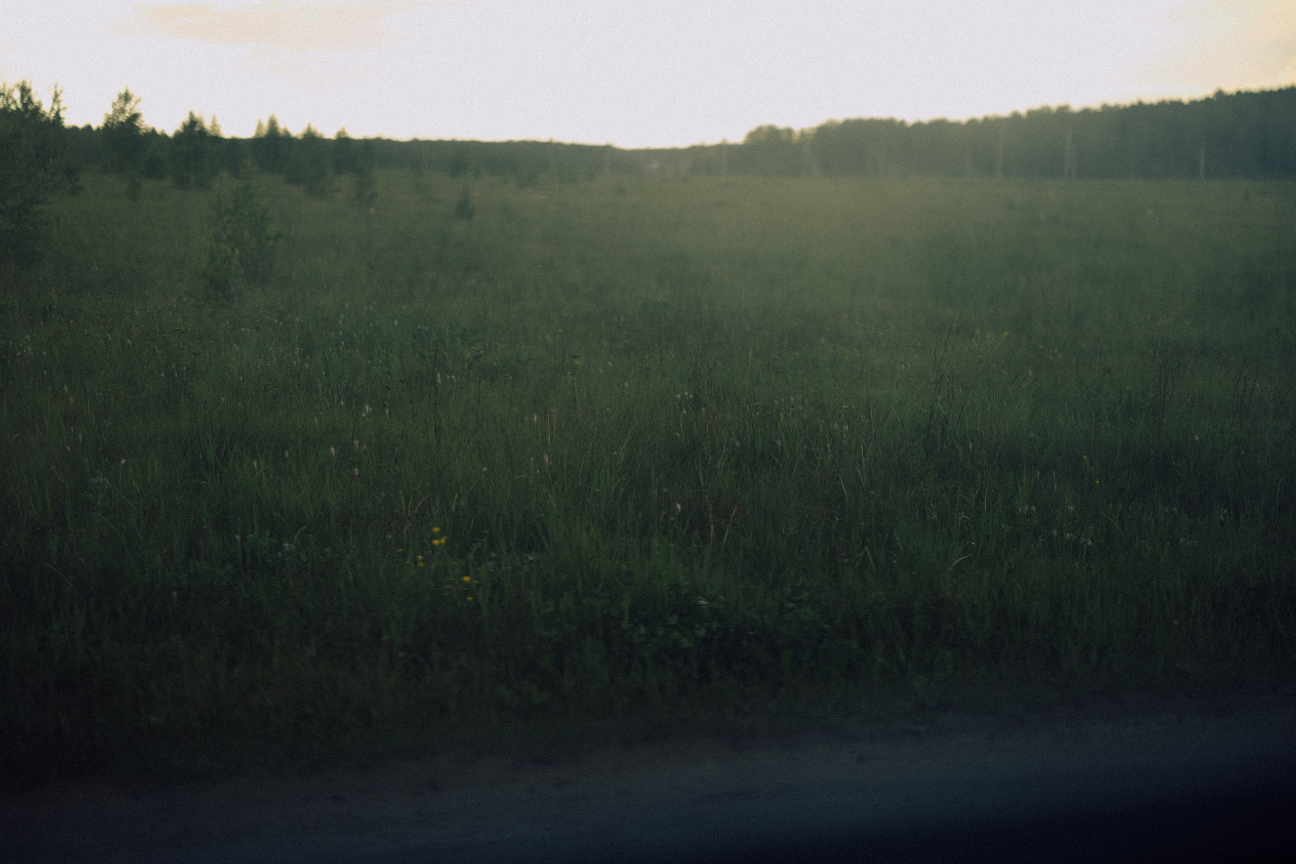 Ваня и Тоня. Daria Chigintseva Photographer