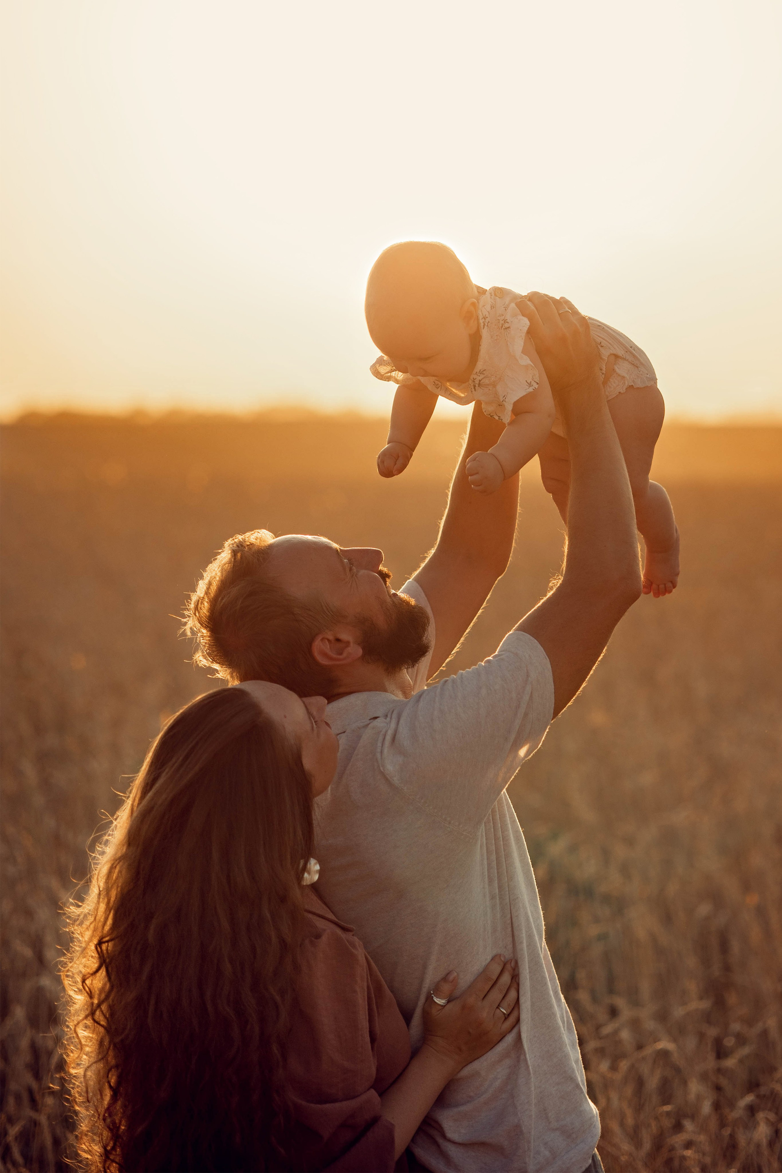 Пшеница. Главная