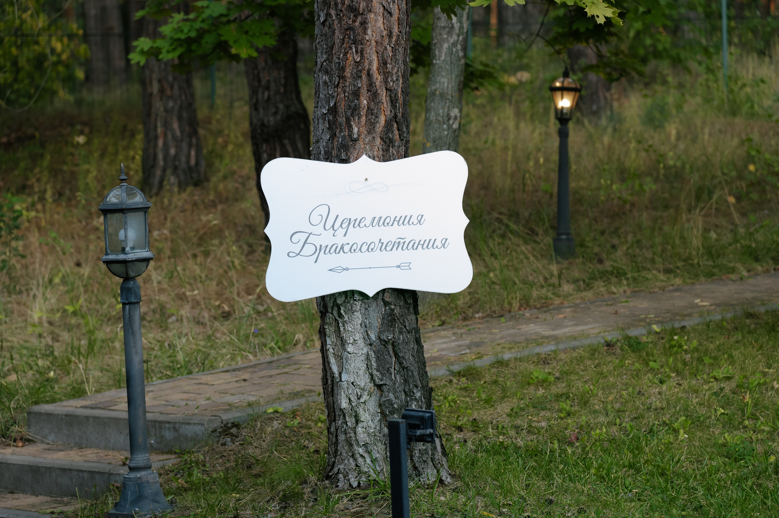 Даниил и Виктория. Свадебный фотограф Белгород