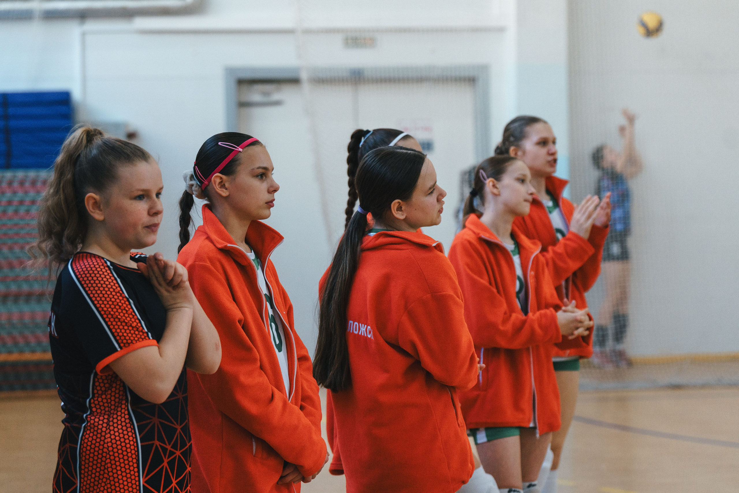 Волейбол торус. Фотограф-анималист в Санкт-Петербурге