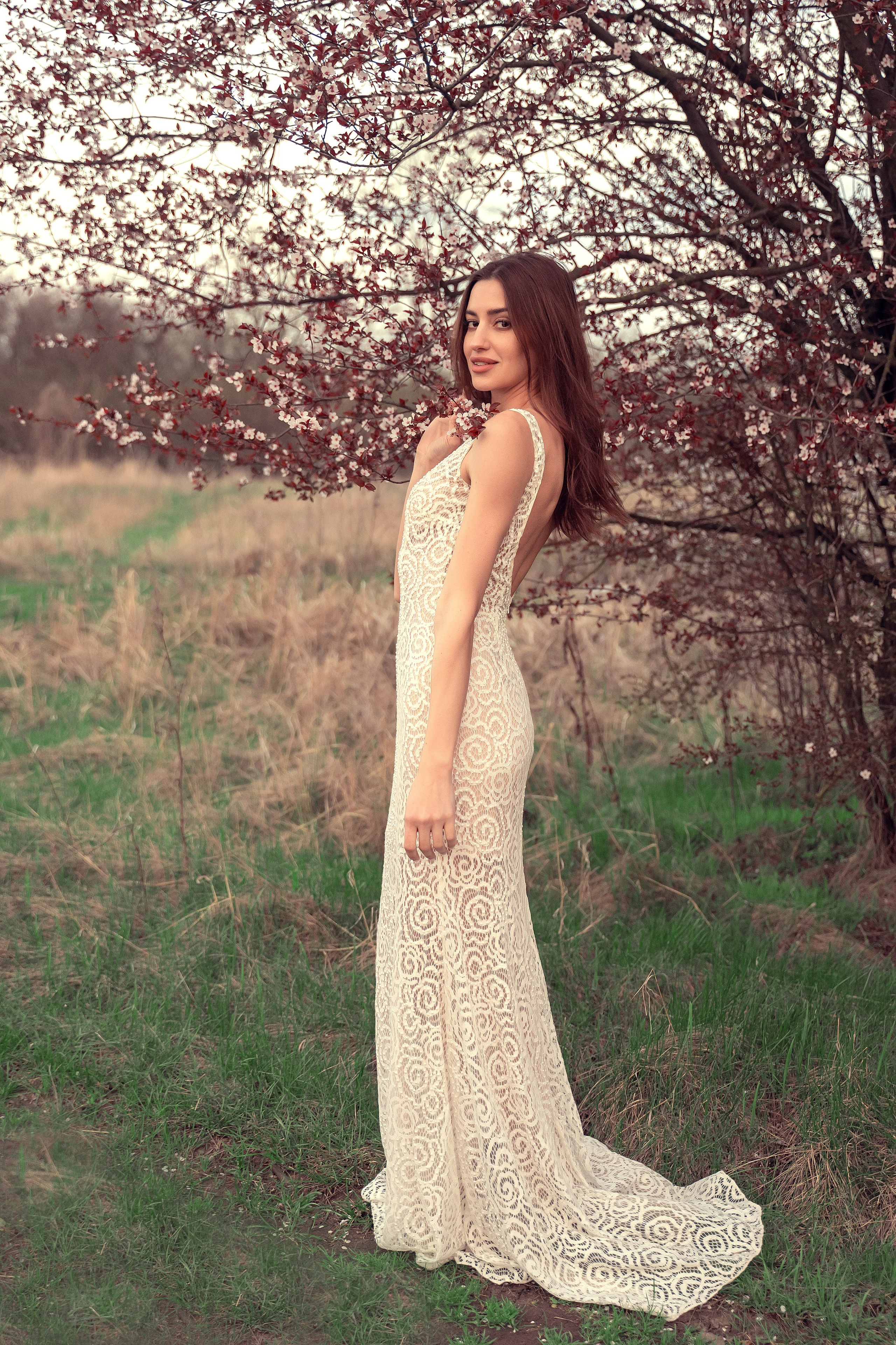 Смешанное цветение и зелень. Главная