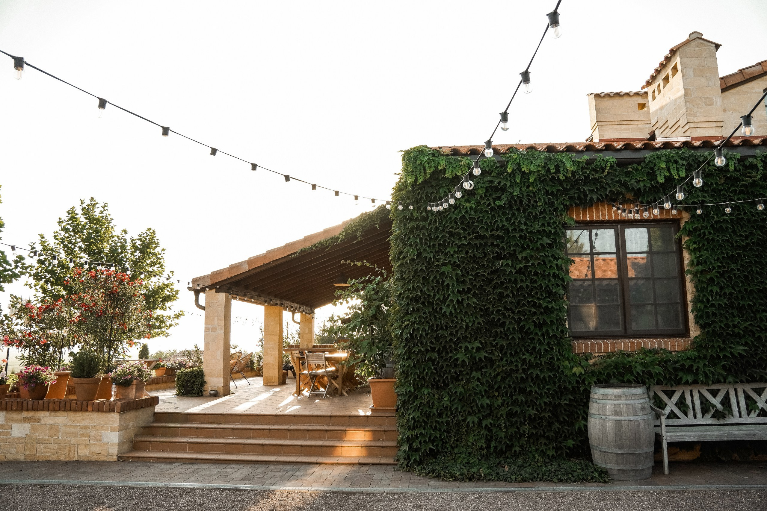 Love at the winery. Свадебный фотограф и видеограф в Ростове-на-Дону. Максим и Наталья Лебедевы