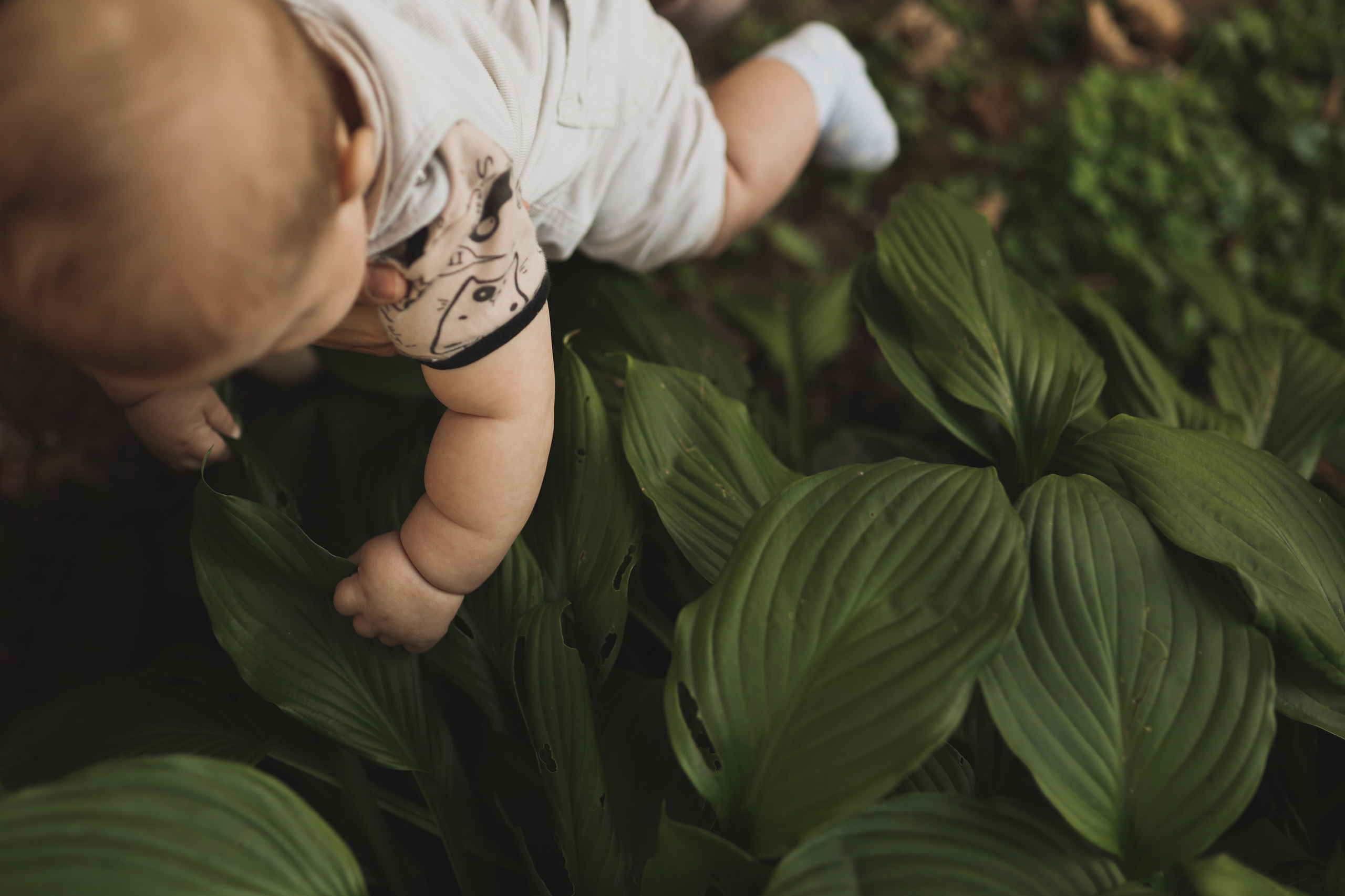 Ростислав с мамой и папой. Детский и семейный фотограф, съемка новорожденных Москва