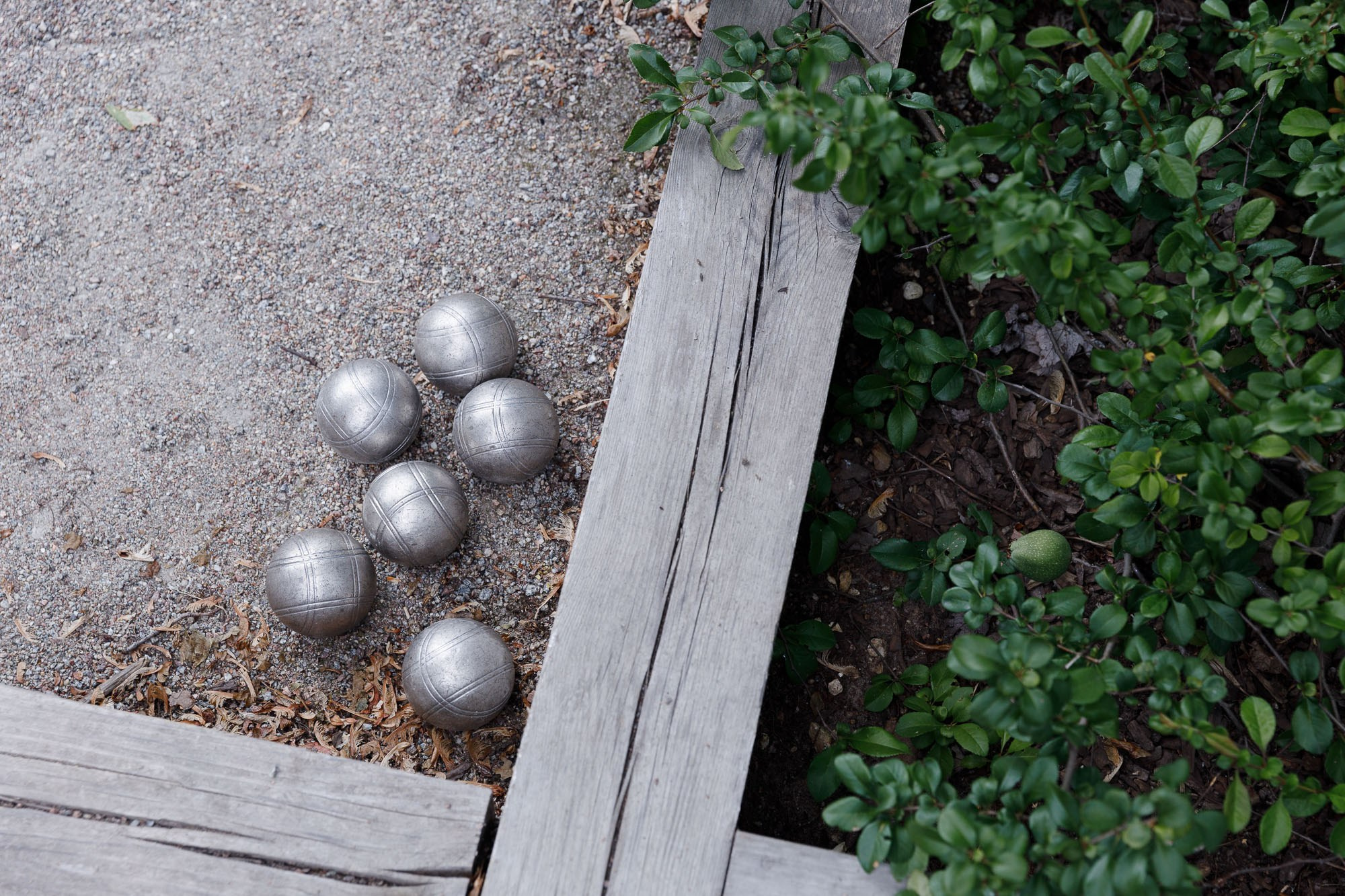 Сколково, Школа управления. Фотограф-видеограф в Москве