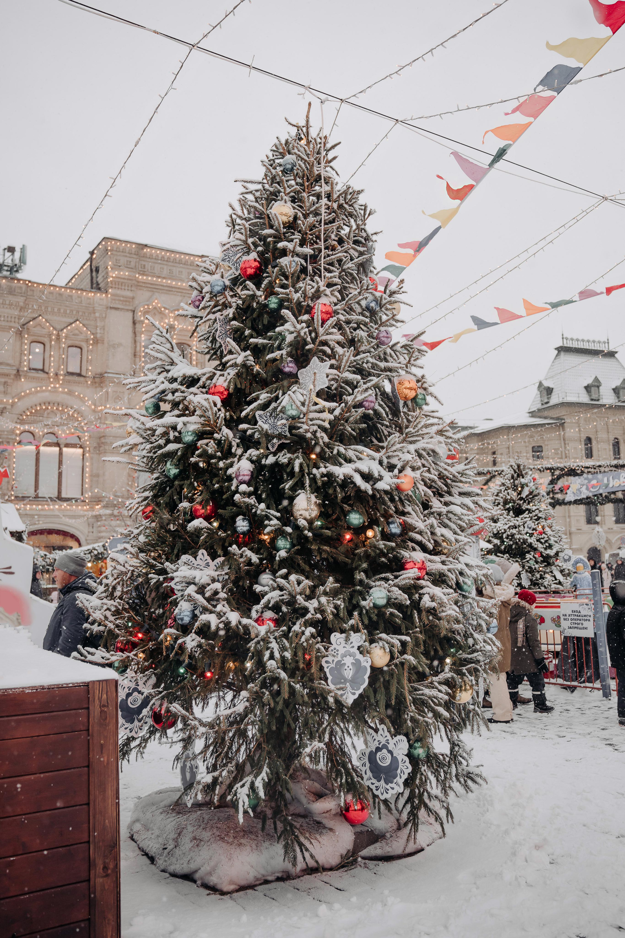 Новогодняя фотосессия на Красной площади для Мигеля и Марины