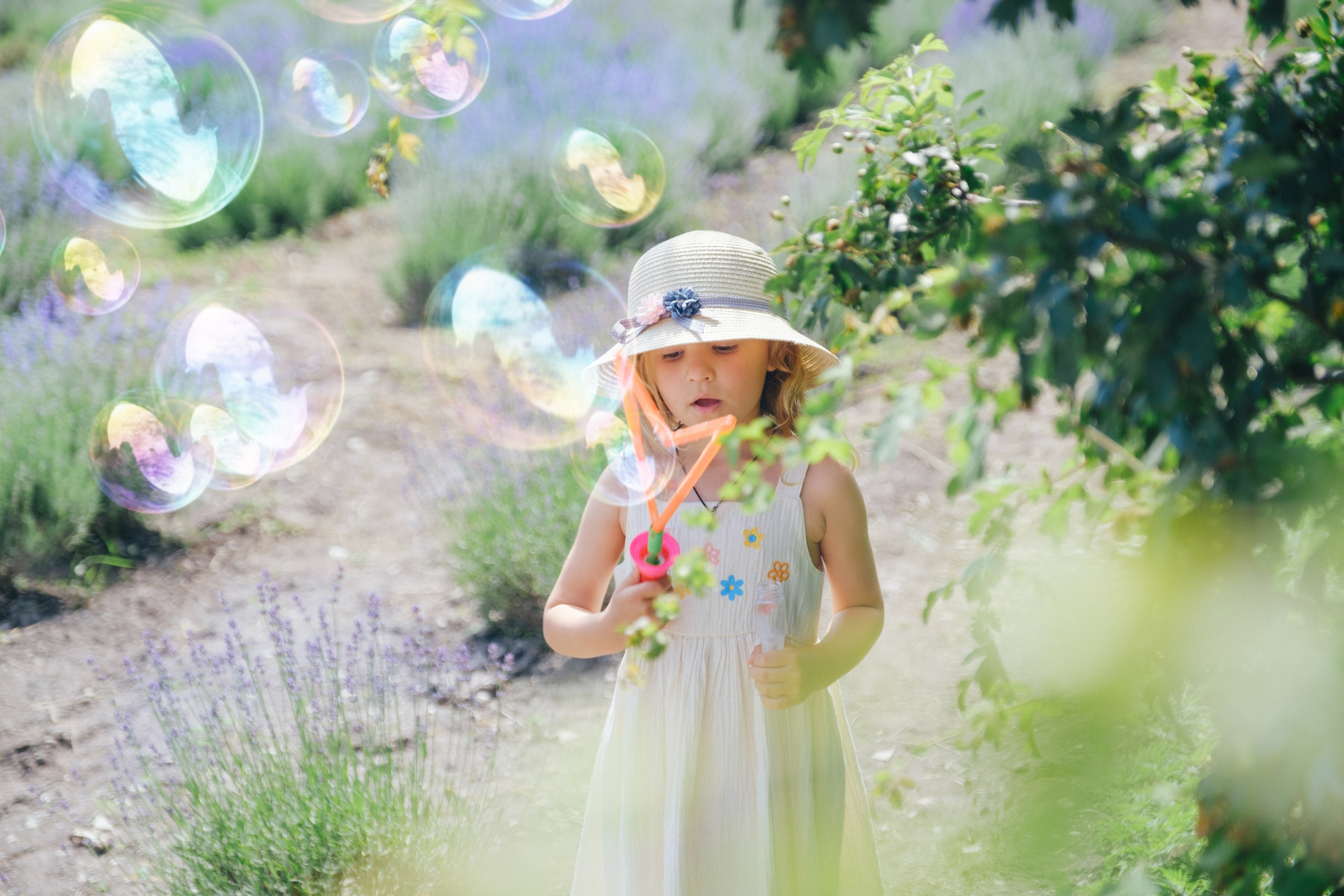 Лавандовые поля-Maison de Plantes. Свадебный Видеограф Фотограф в Сочи