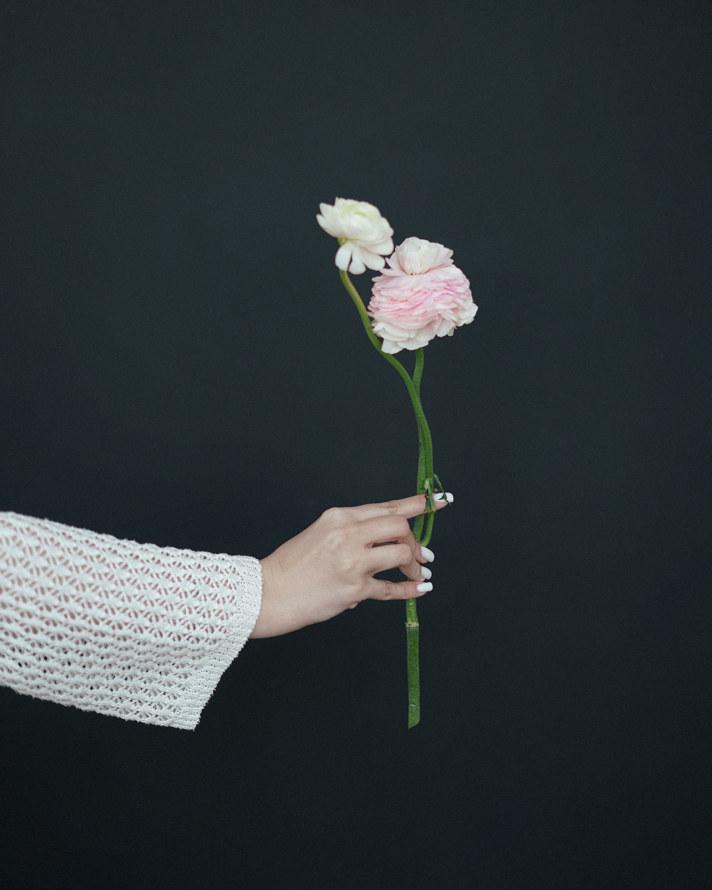 Ника. Свадебный и портретный фотограф в Санкт-Петербурге Софья Каркачева