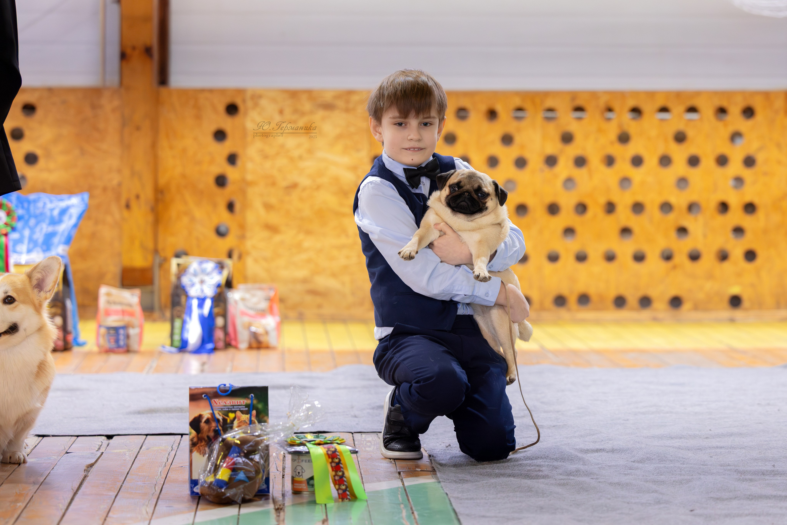 Тверь 21.12.2025. Фотограф-анималист Юлия Германика