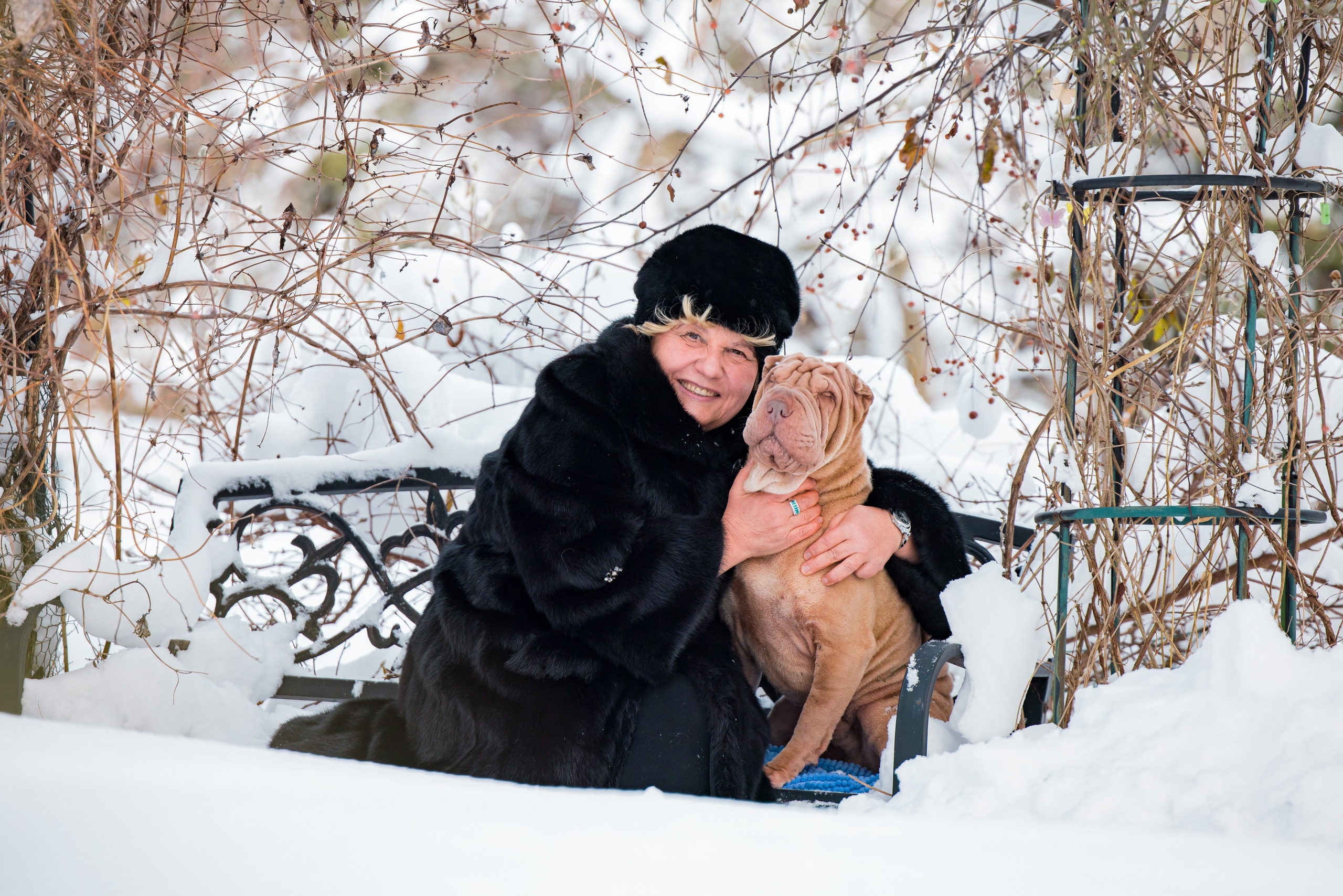 В гостях у шарпеев 16.01.2024. Фотограф-анималист Юлия Германика