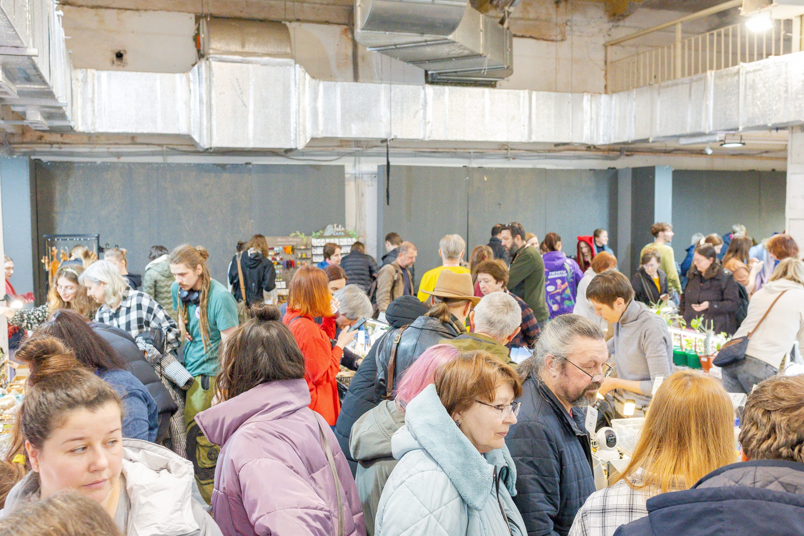 Кактус Фест. Александра Куликова фотограф, Москва