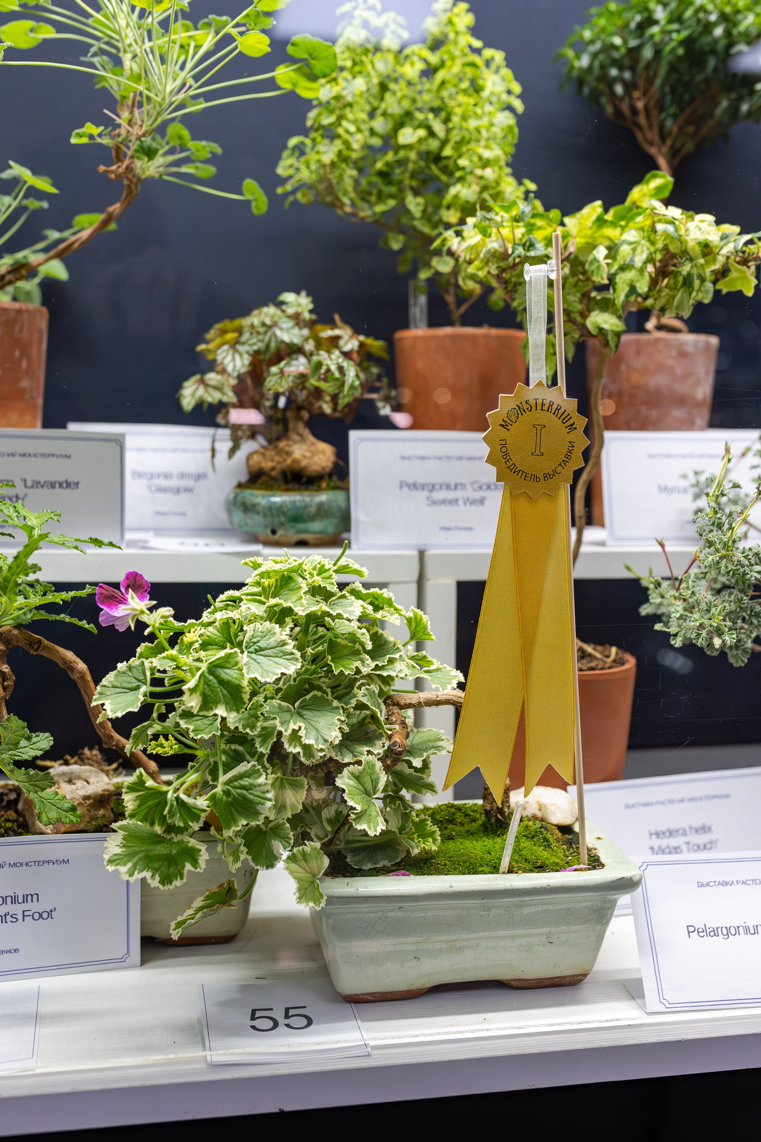 Монстериум апрель 2026. Александра Куликова фотограф, Москва