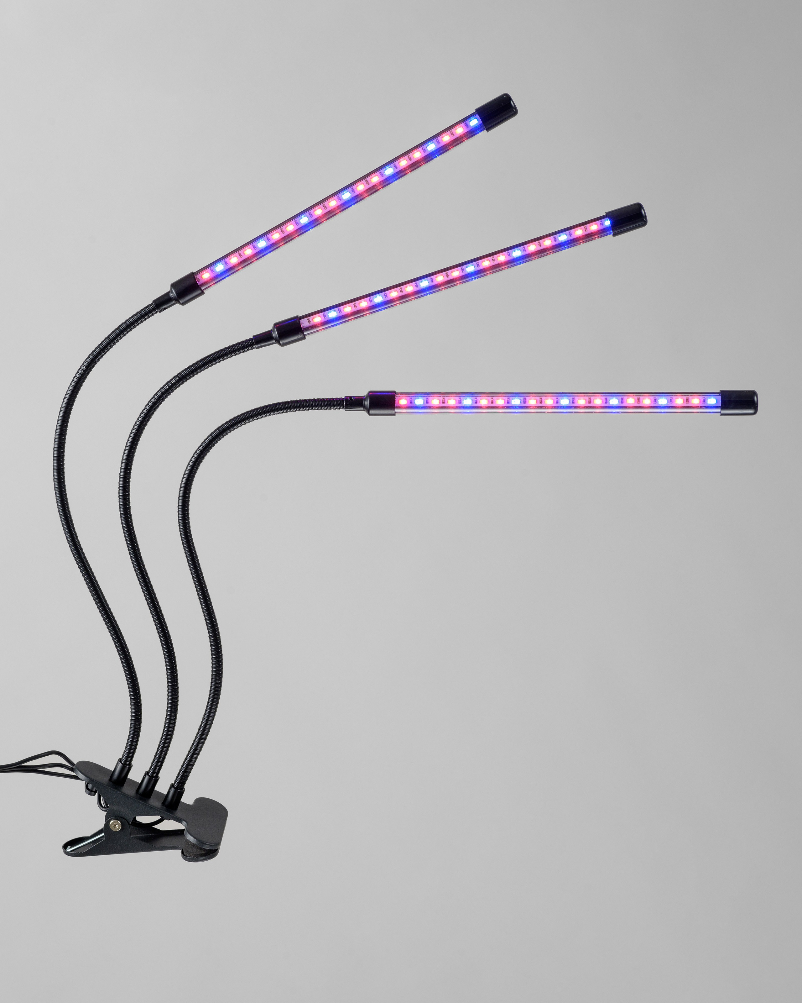 Предметы. Главная