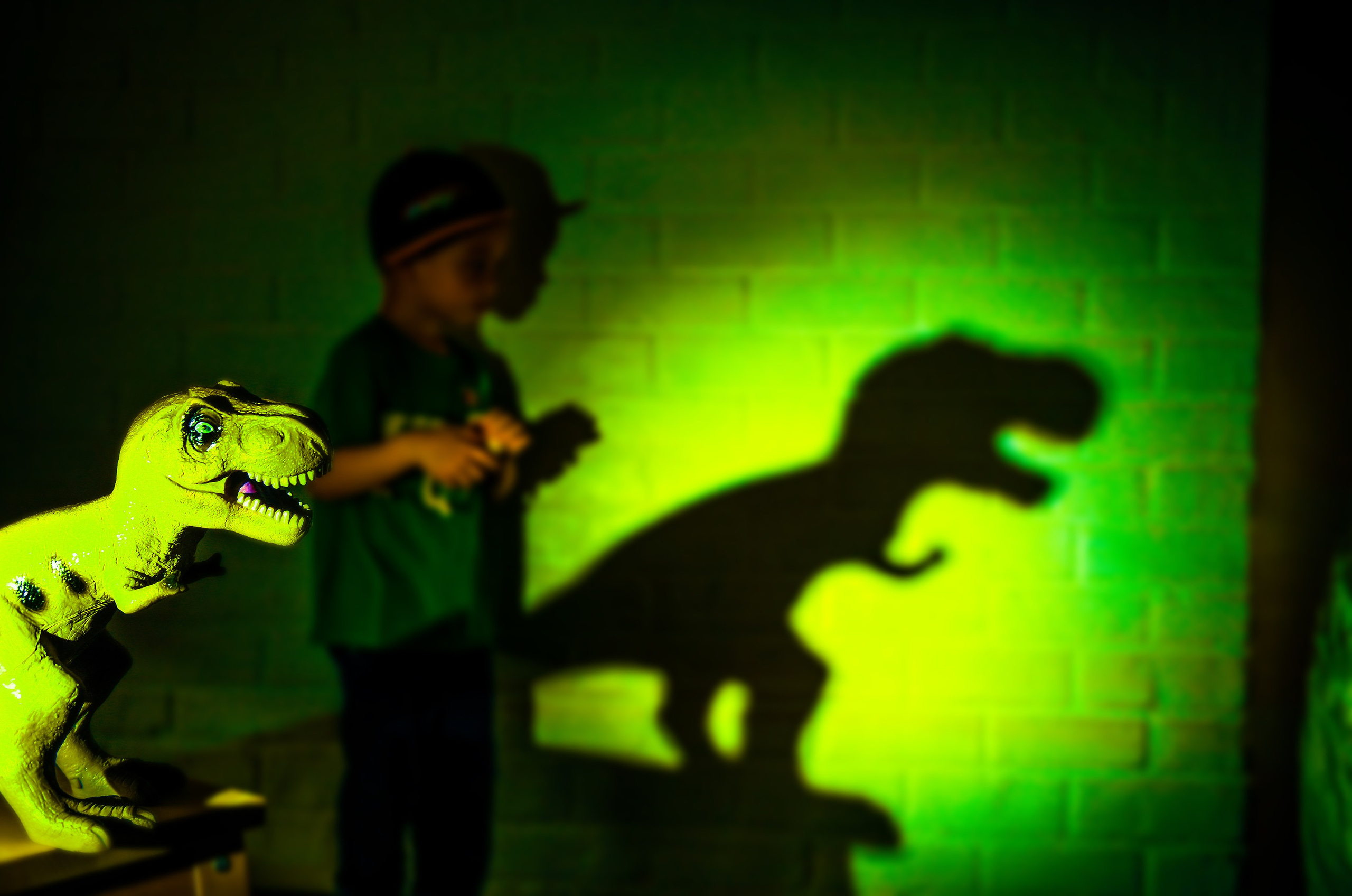 Детская с Динозаврами на 5 лет. Свадебный, семейный, детский, контент фотограф в Омске Максим Ильин