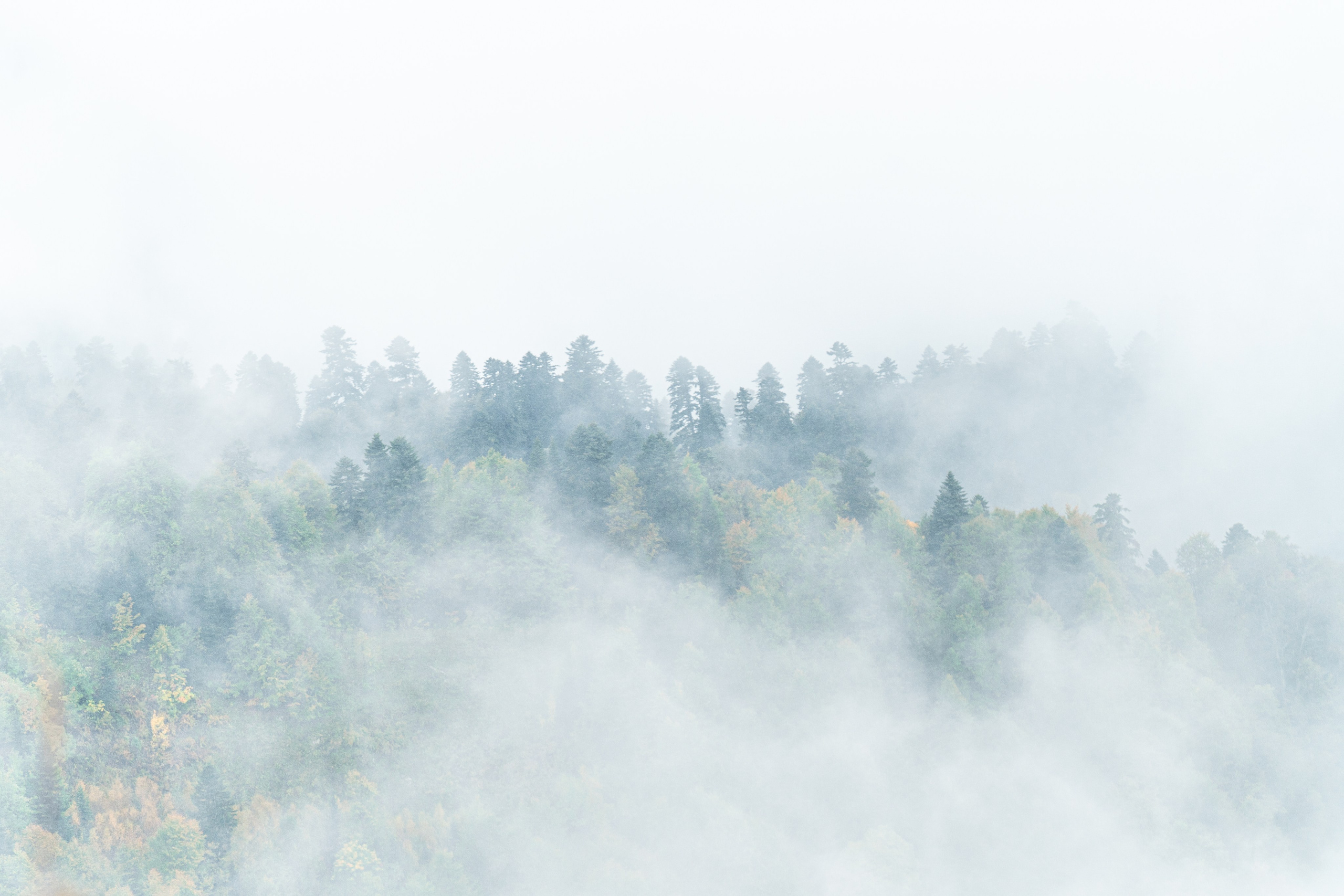 Трейловый бег «Альпиндустрия. Три курорта''. Репортажный фотограф в Красной Поляне и Сочи Павлюченко Екатерина