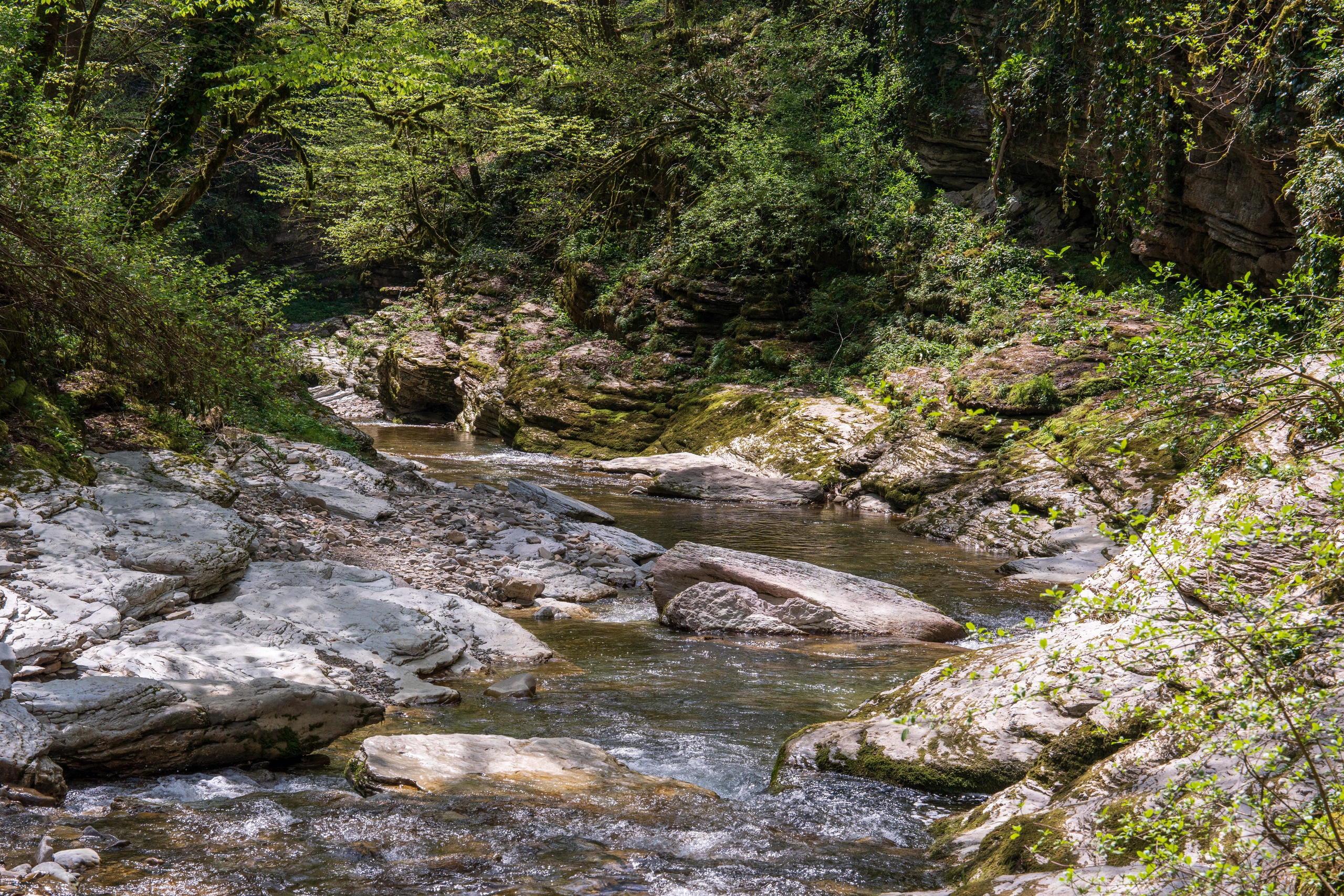 MICE мероприятие — джиппинг на каньон Псахо. Репортажный фотограф в Красной Поляне и Сочи Павлюченко Екатерина