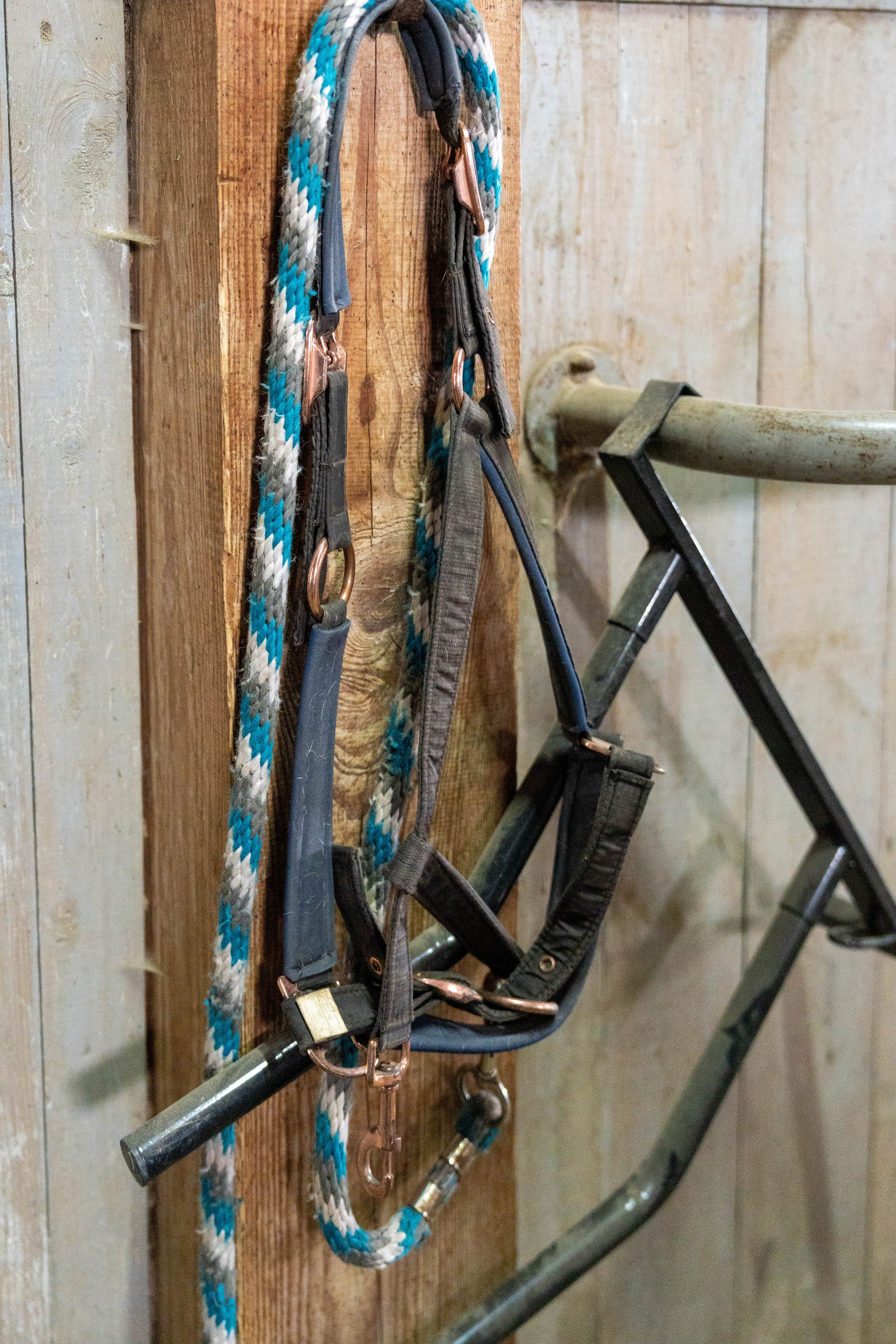 MICE мероприятие на ферме Экзархо. Репортажный фотограф в Красной Поляне и Сочи Павлюченко Екатерина