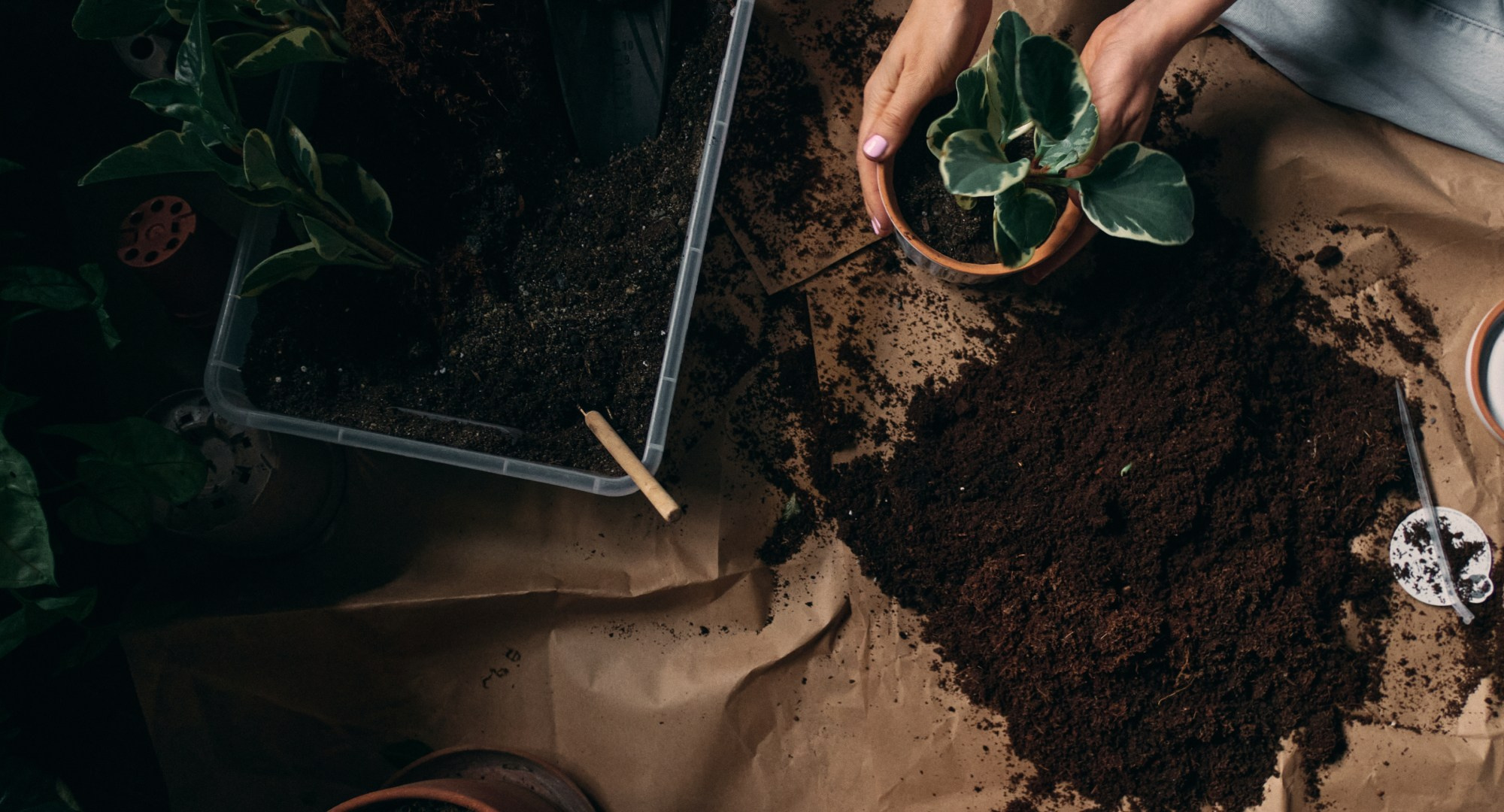 Бизнес — контент. Артём Кузнецов, фотограф, Новосибирск