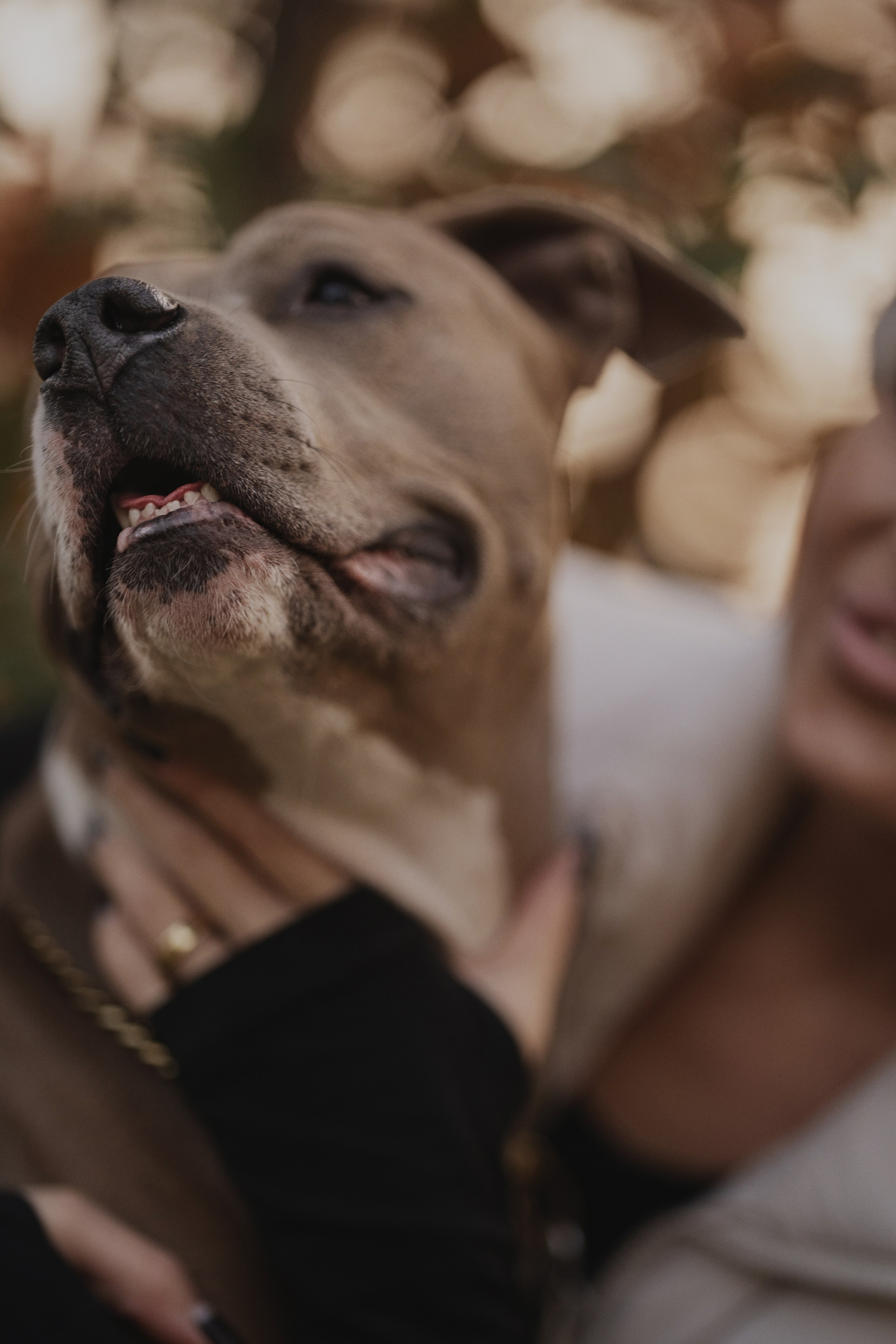 Аня + Лея. Kameramotor74