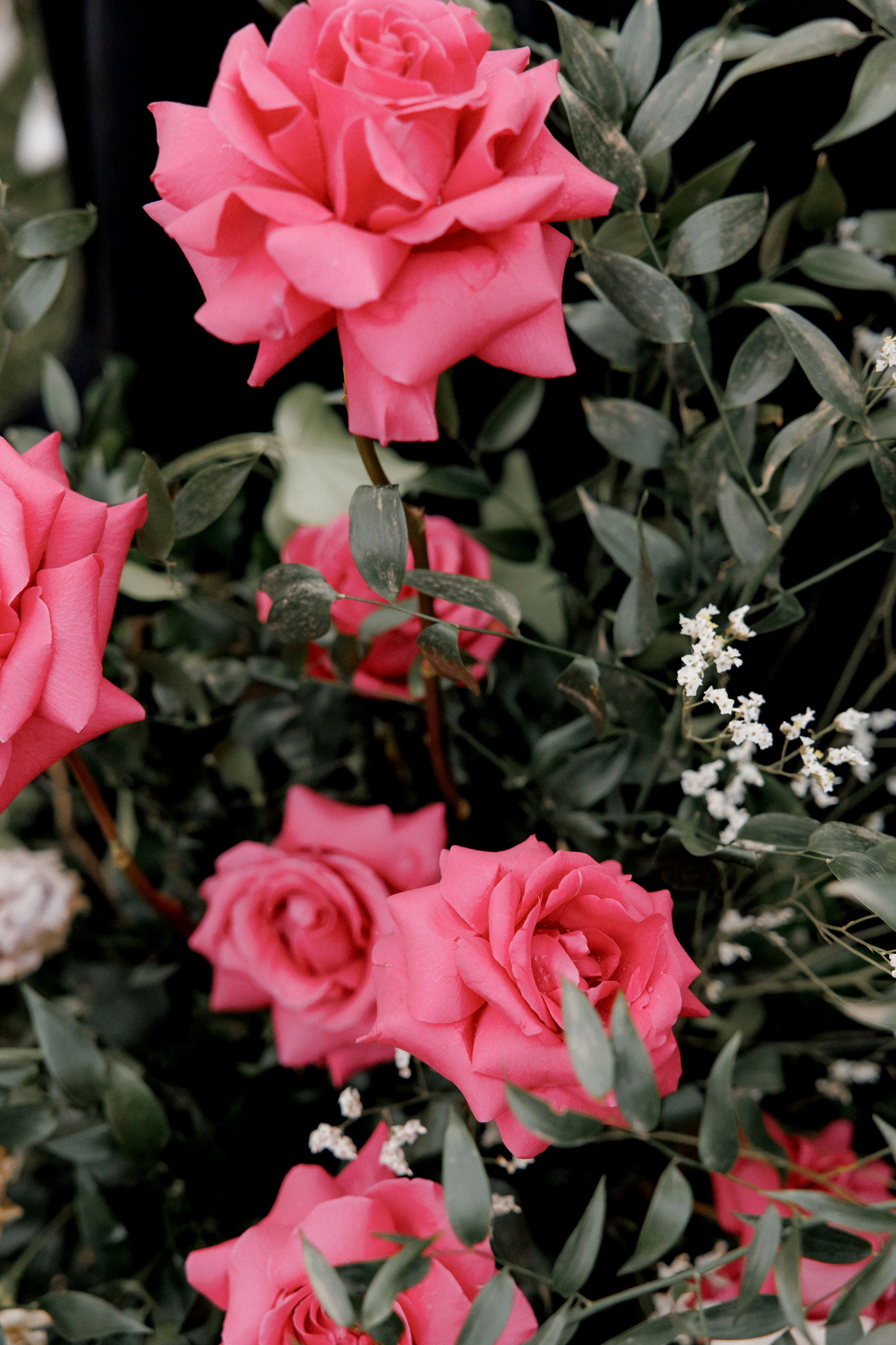 Eleonora & Lapo | Italy. Главная