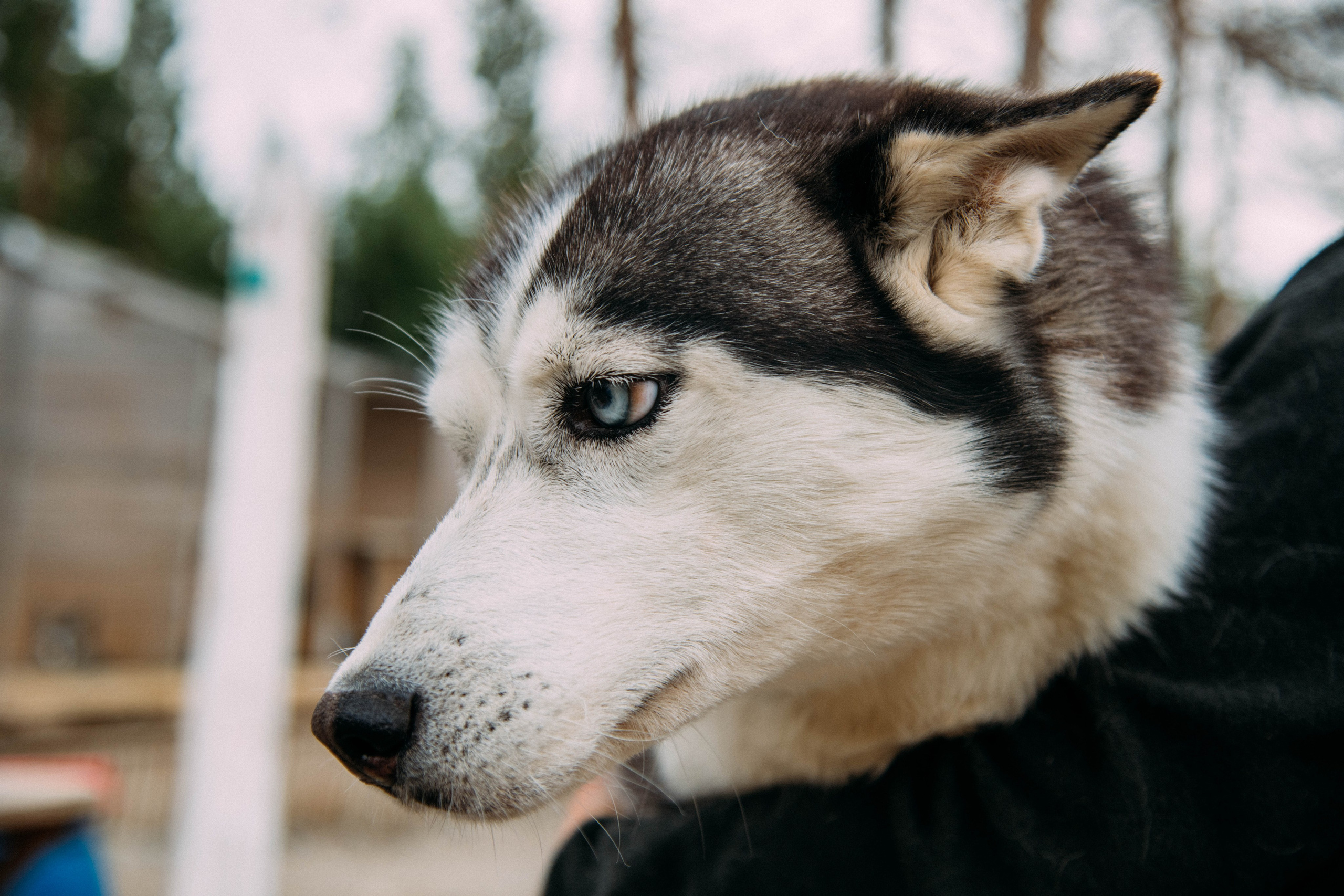 Кольский полуостров. Фотографирую для себя, своей семьи и друзей!
