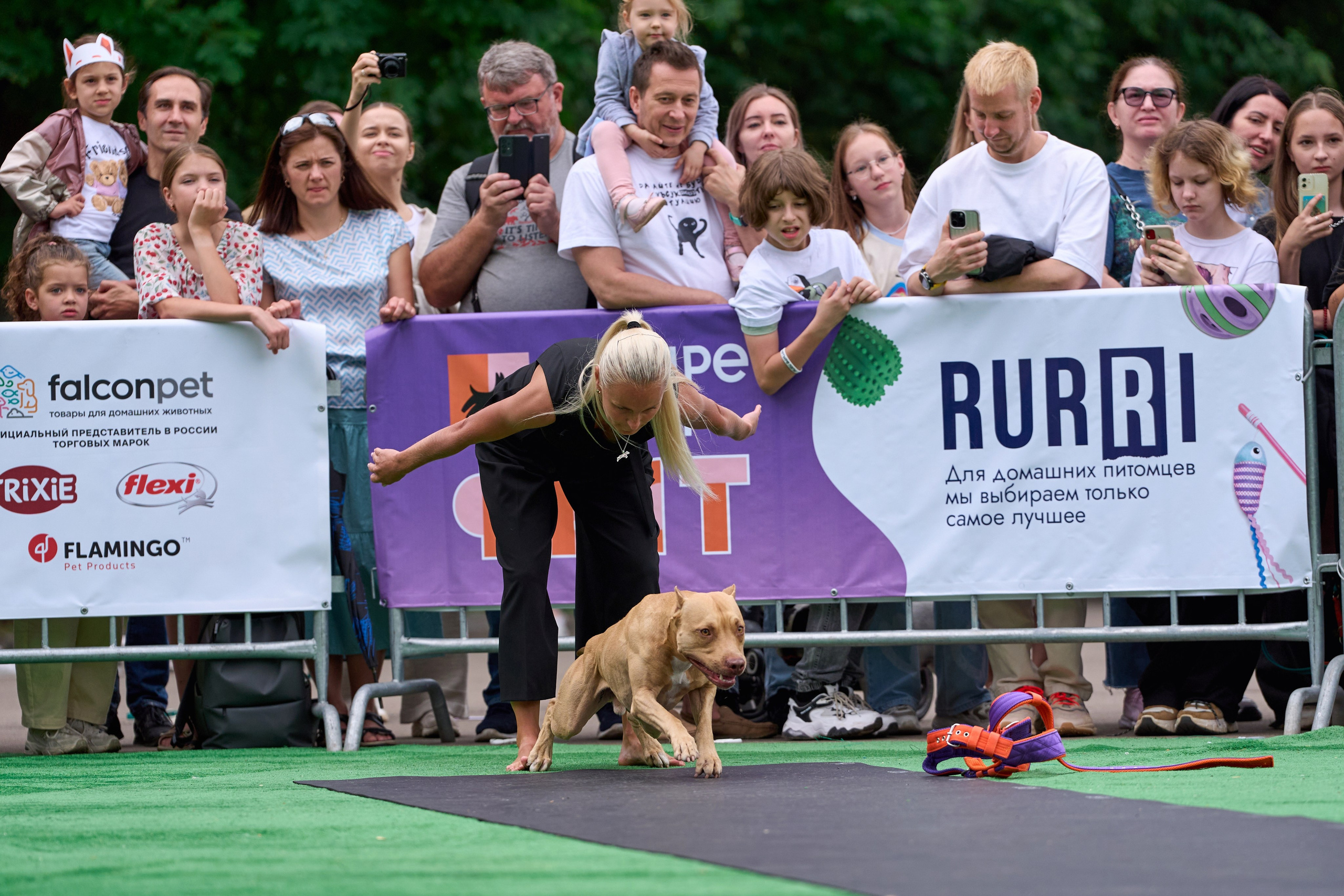 4 лапы Фест. Многоборье. Фотограф-анималист Михаил Манухин