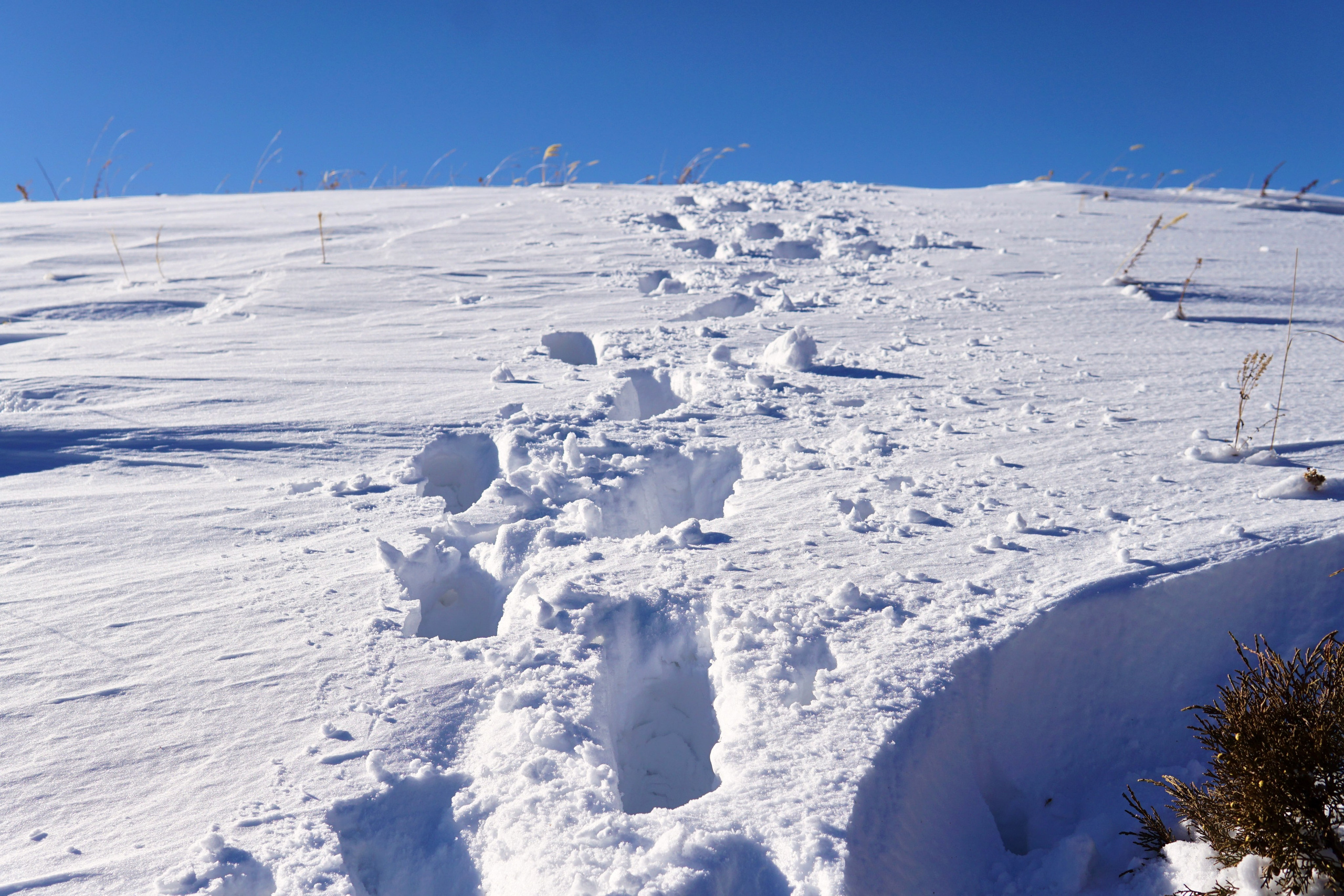 | Ветер Букреева |. Фотограф |Алматы | Ruslan Zhadigerov