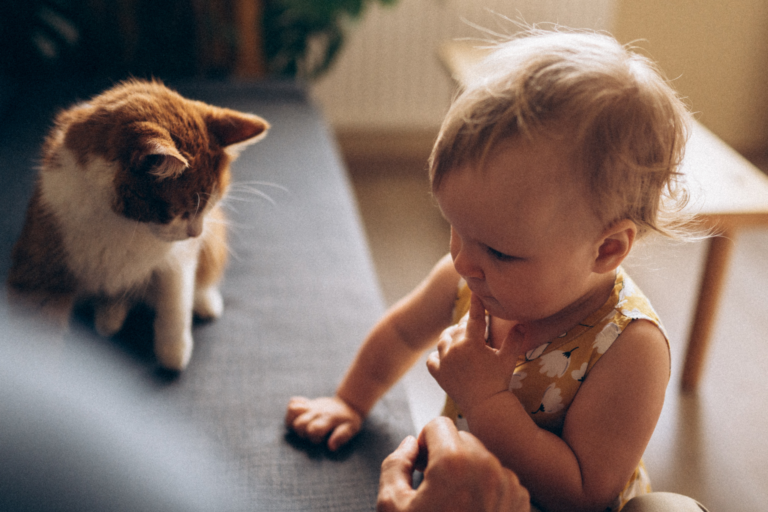 Денис, Женя и Алиса, май 2021. Семейный фотограф Санкт-Петербург СПб Митрофанова Ольга