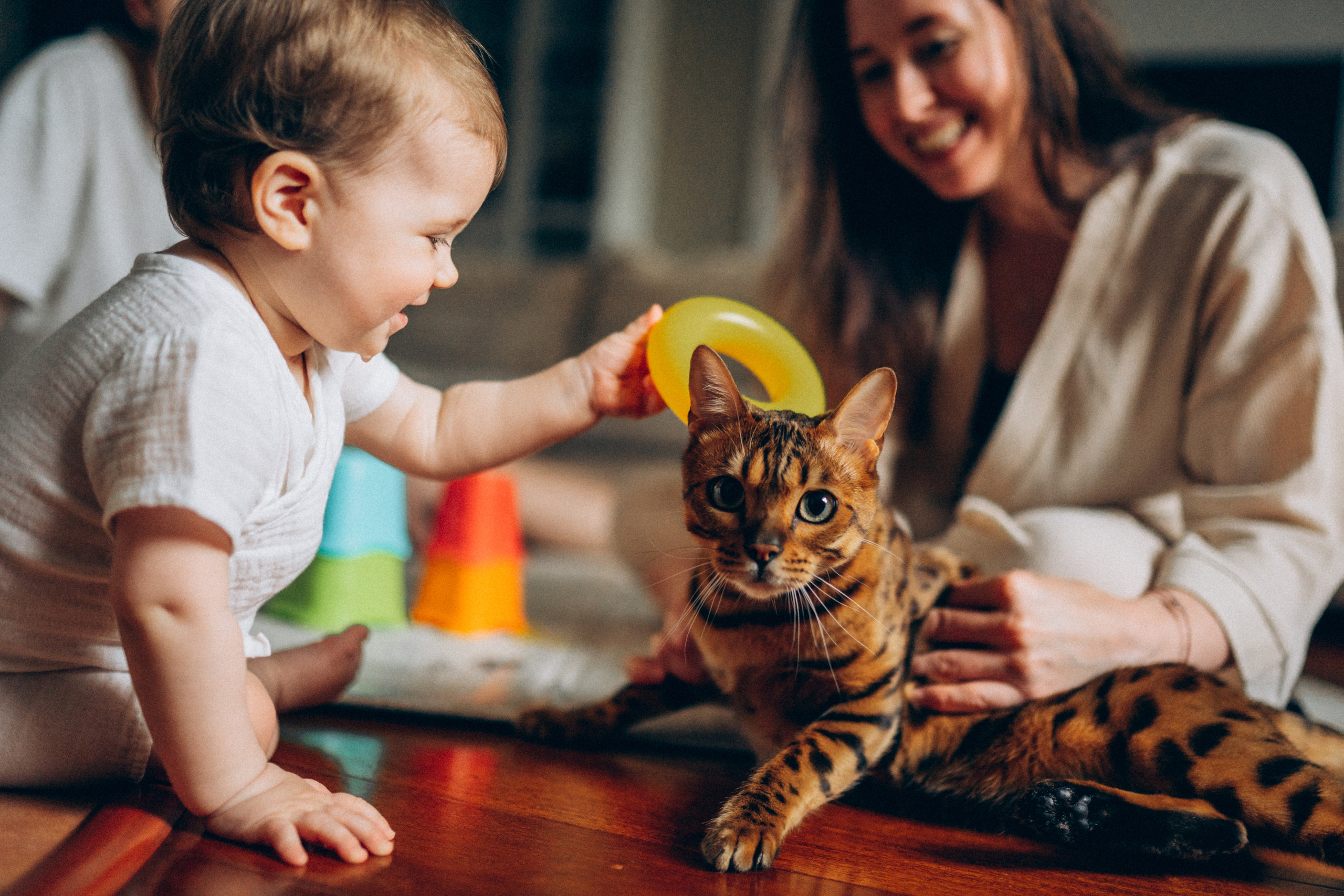 Дима, Даша и Майя, май 2021. Семейный фотограф Санкт-Петербург СПб Митрофанова Ольга