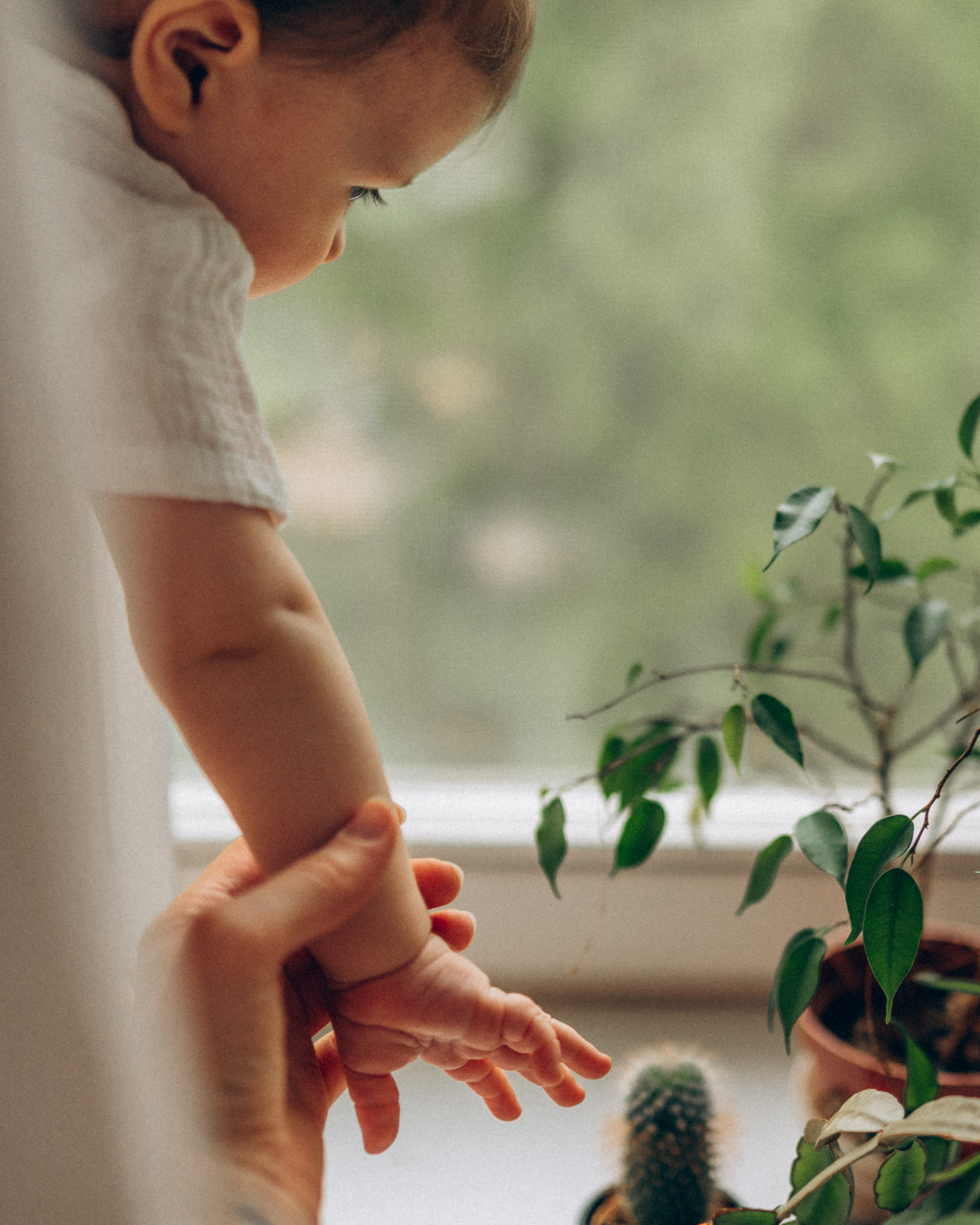 Дима, Даша и Майя, май 2021. Семейный фотограф Санкт-Петербург СПб Митрофанова Ольга