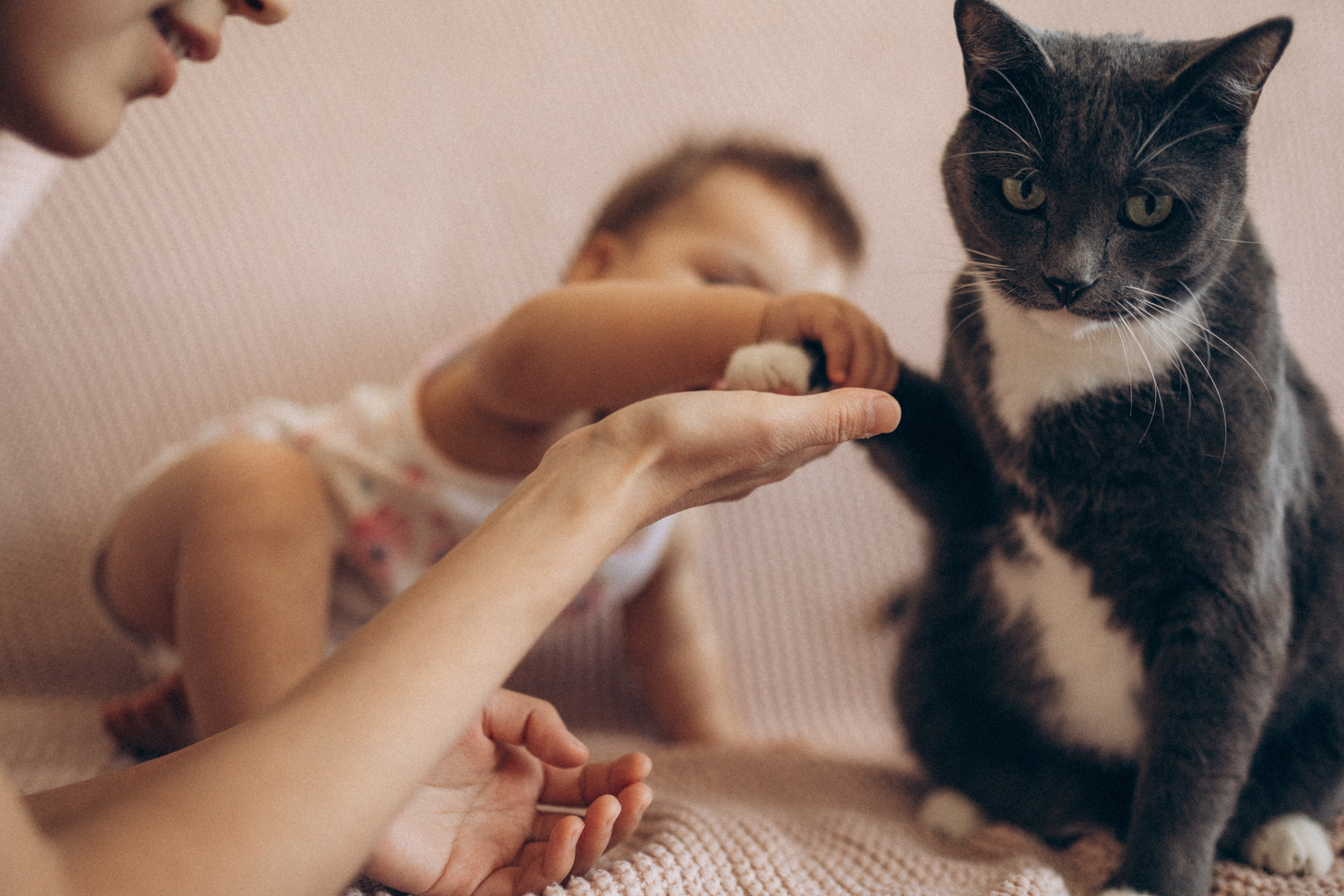 Антон, Вика и Дарина, апрель 2021. Семейный фотограф Санкт-Петербург СПб Митрофанова Ольга