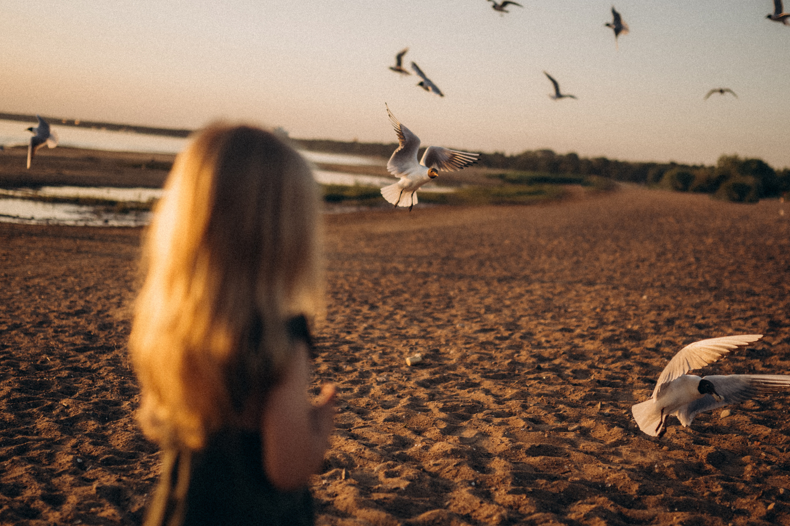 Илья, Света и Дарина, июнь 2021. Семейный фотограф Санкт-Петербург СПб Митрофанова Ольга