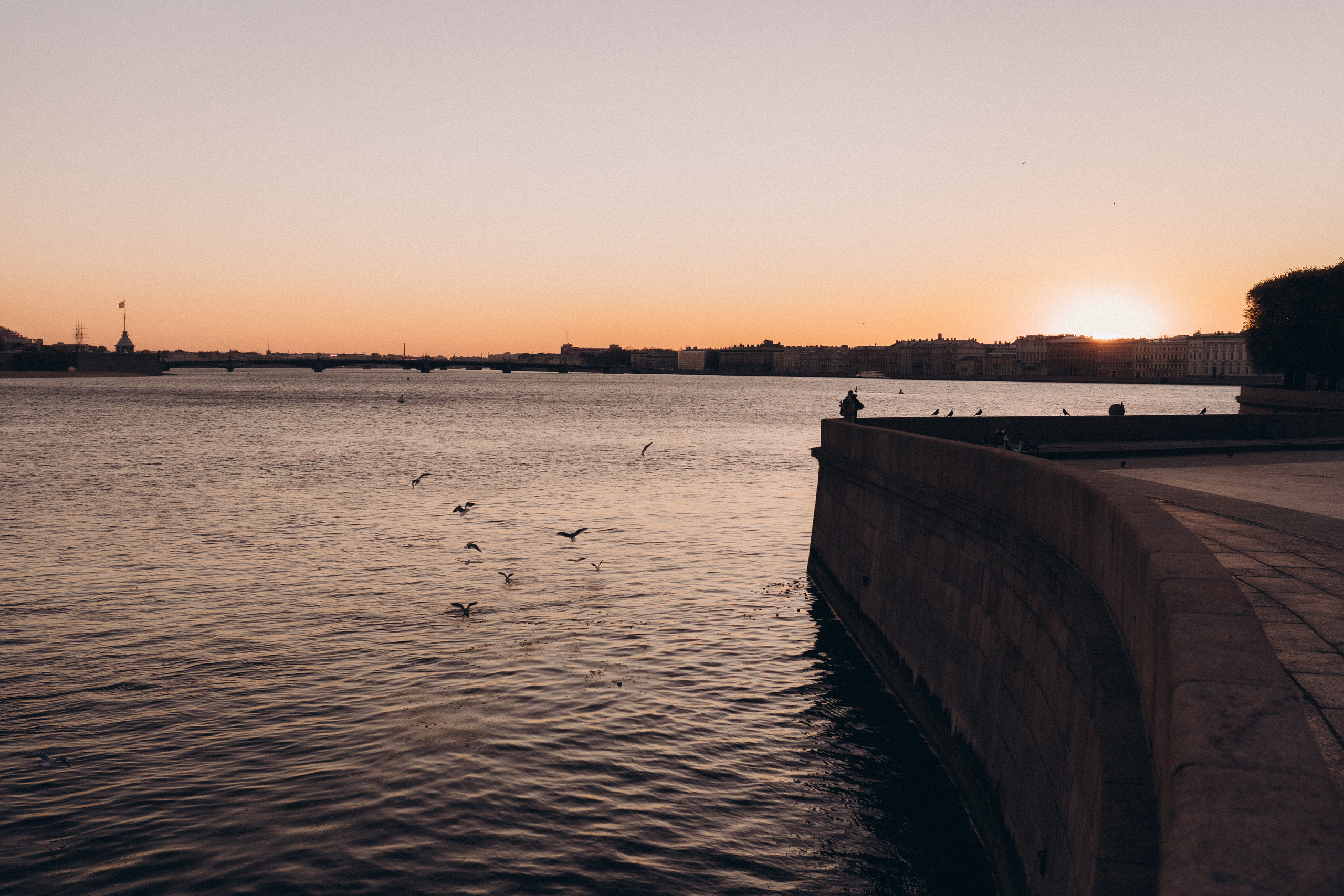 Хьюго и Ксюша, октябрь 2021. Семейный фотограф Санкт-Петербург СПб Митрофанова Ольга