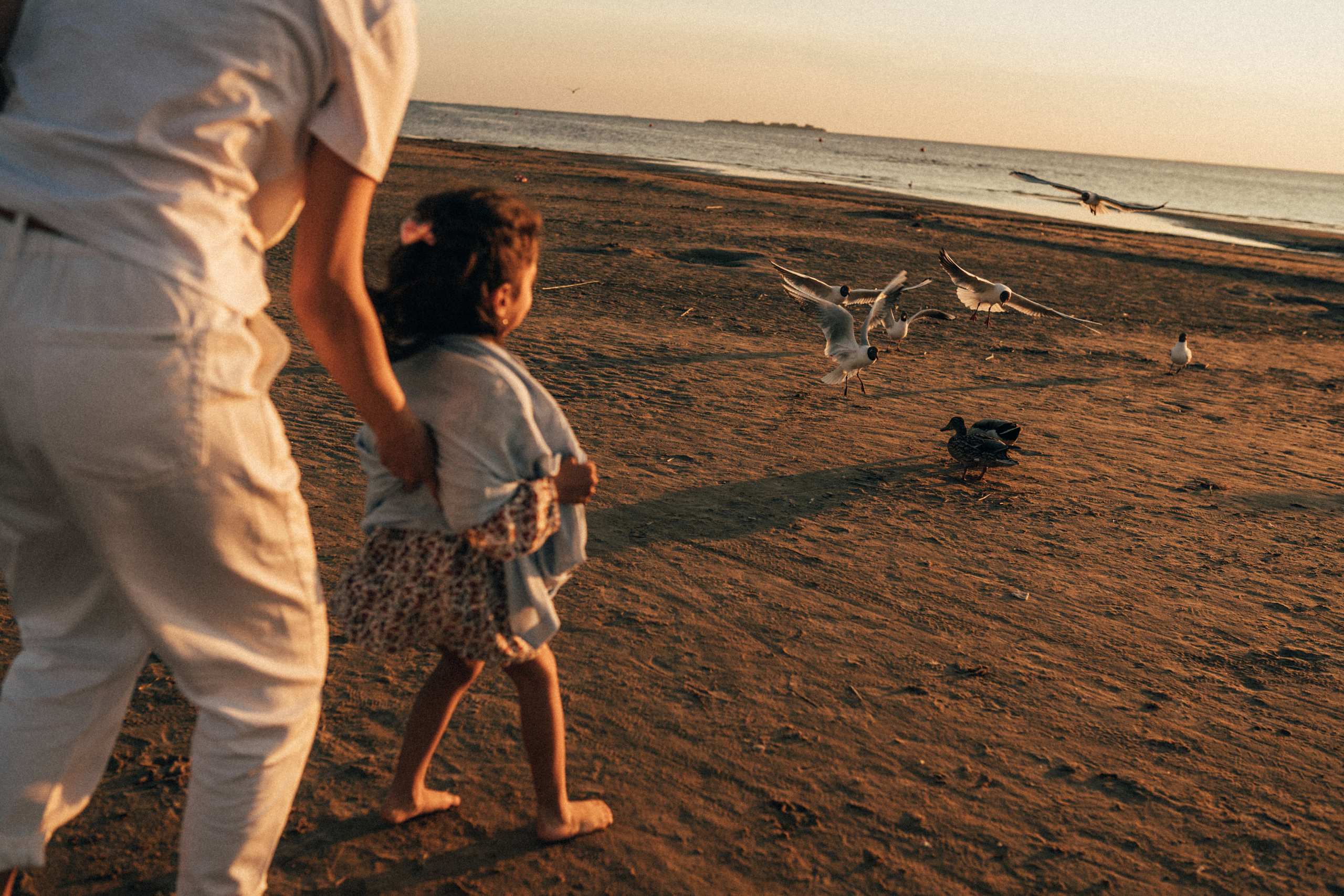 Сабина и Амина, июль 2021. Семейный фотограф Санкт-Петербург СПб Митрофанова Ольга